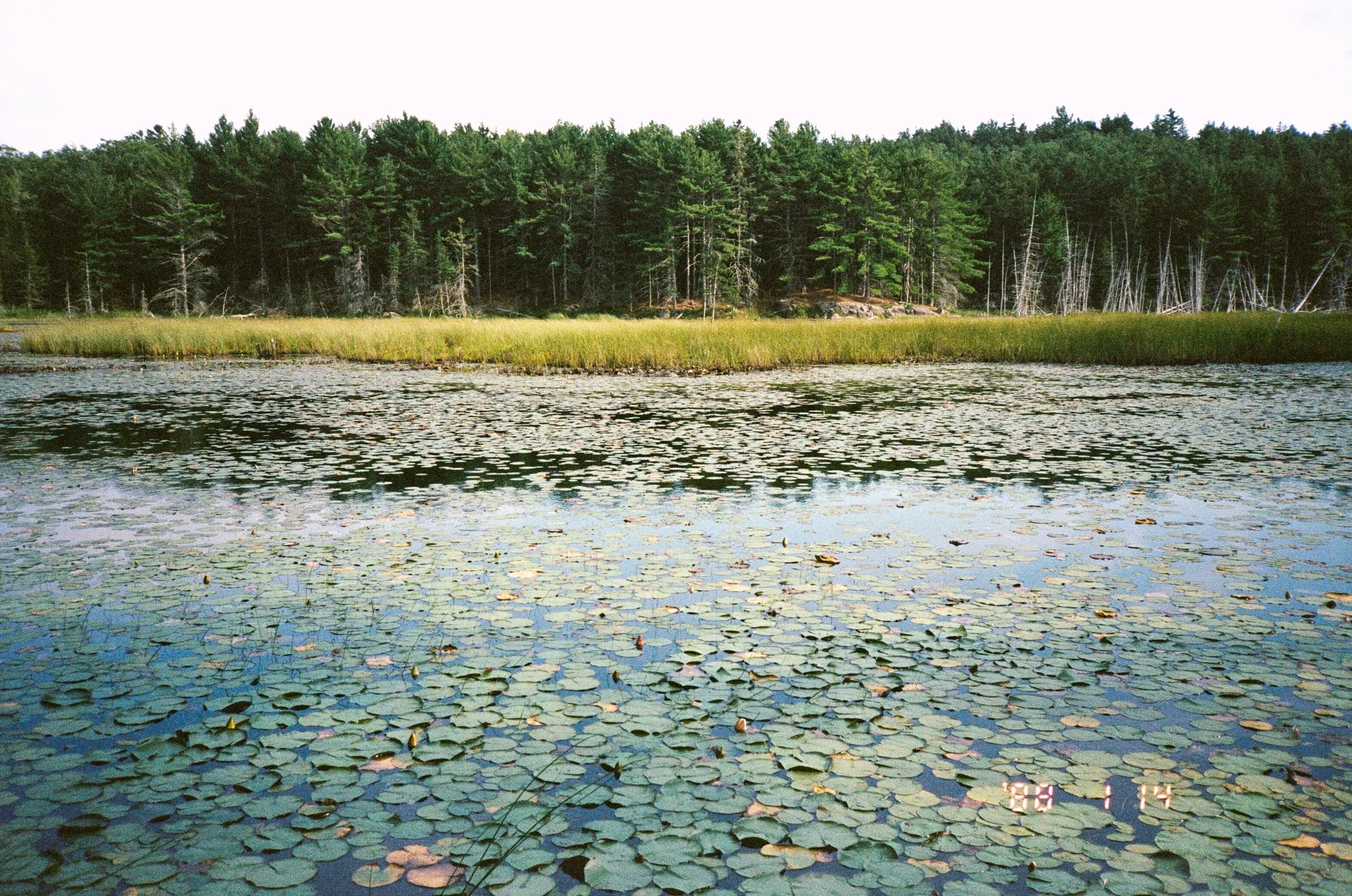 R0013_F024-2.jpg
