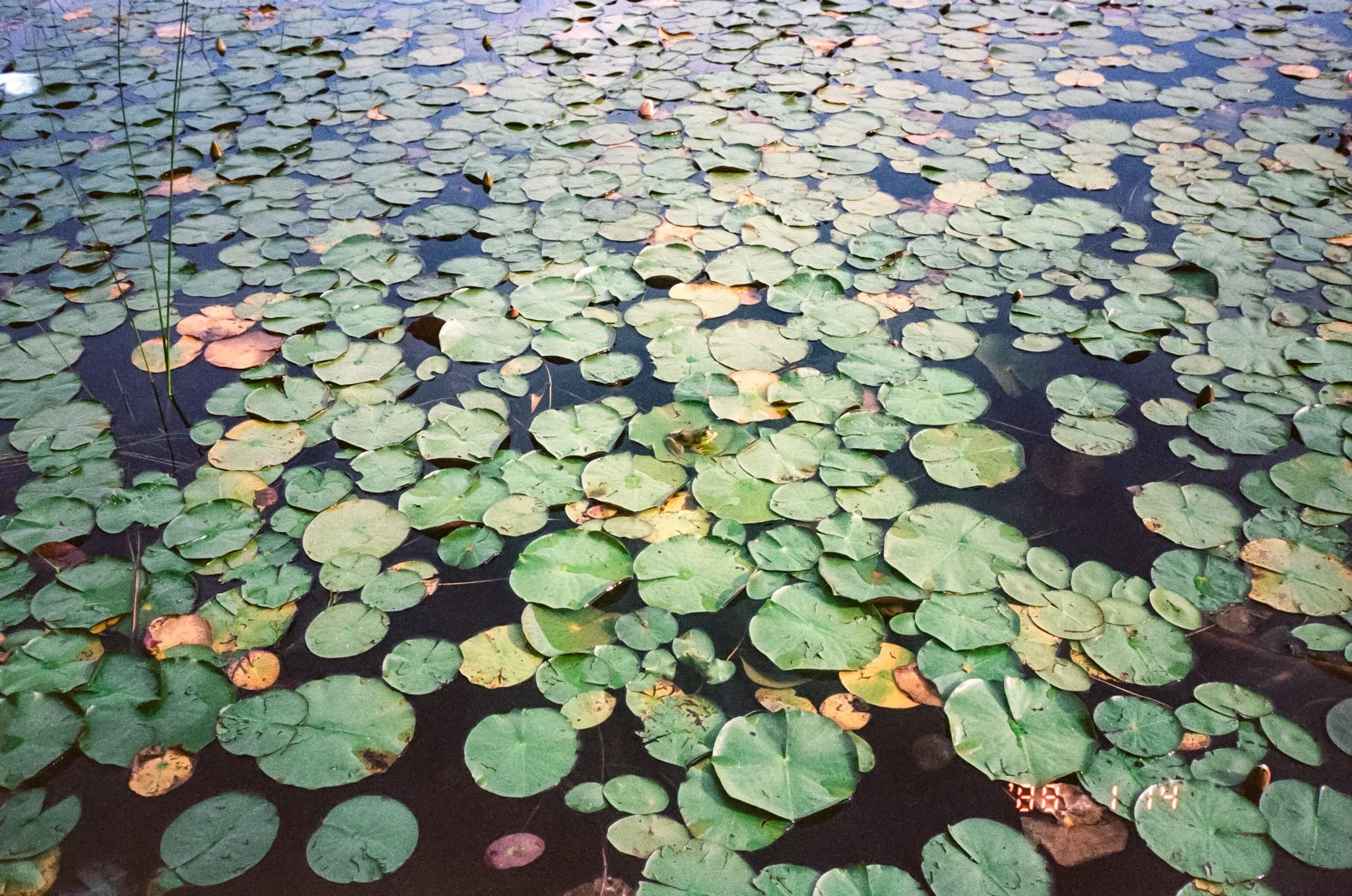 R0013_F026.jpg