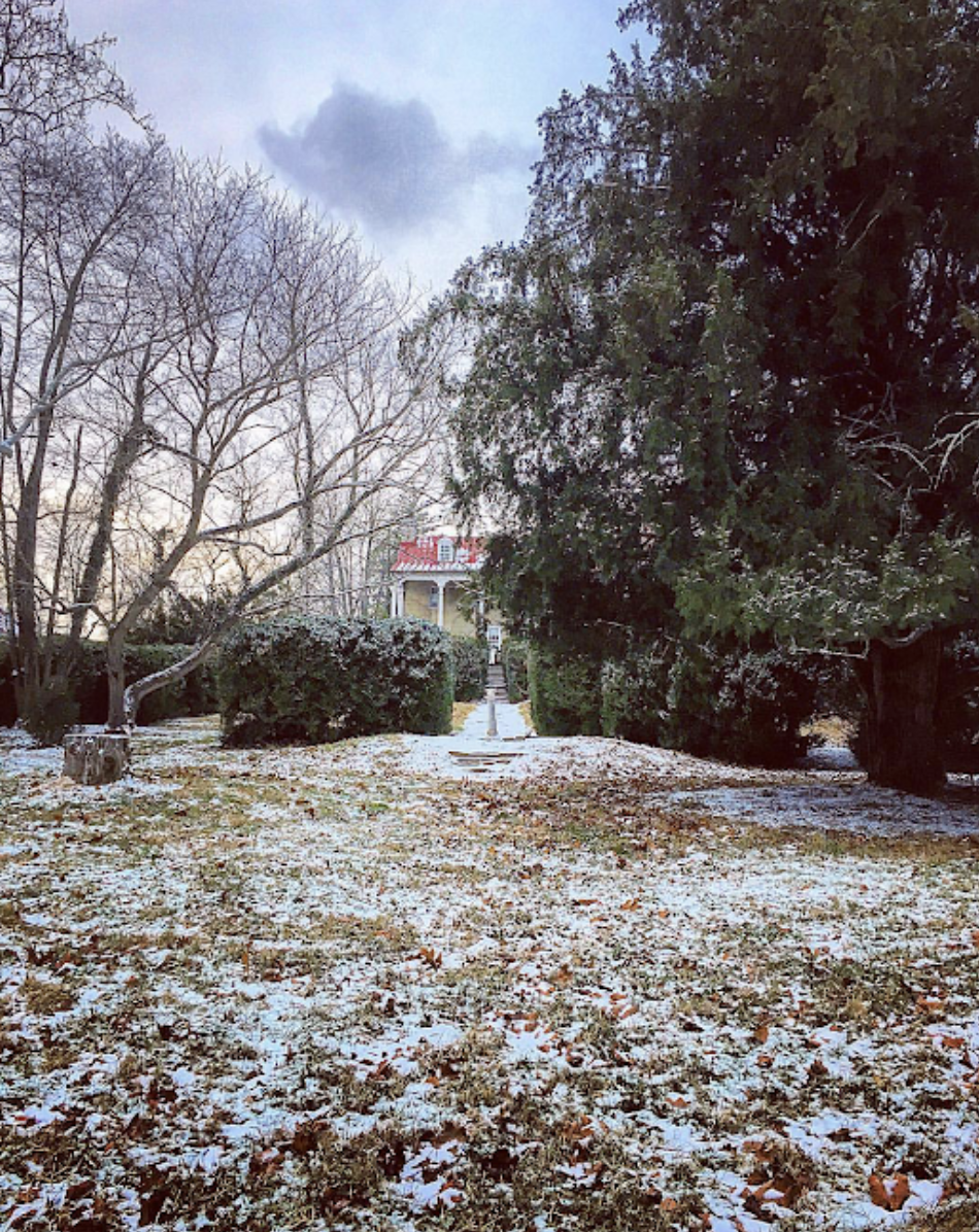 Screen Shot 2020-12-30 at 1.03.56 PM.png