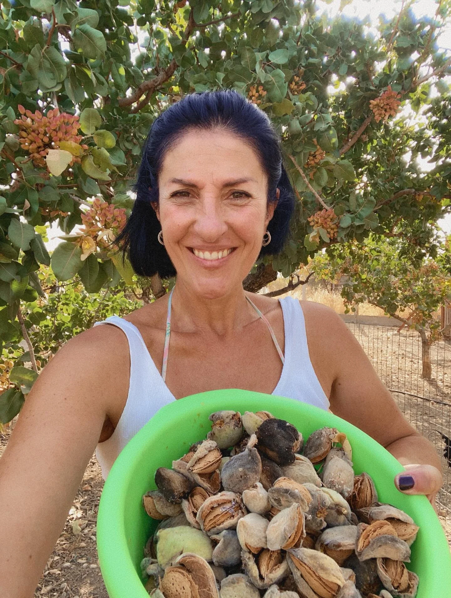 Join me on the farm! Almonds galore and ducks (not) in a row ❤️

#farm #farmlife #farmhouselife #farmgirl