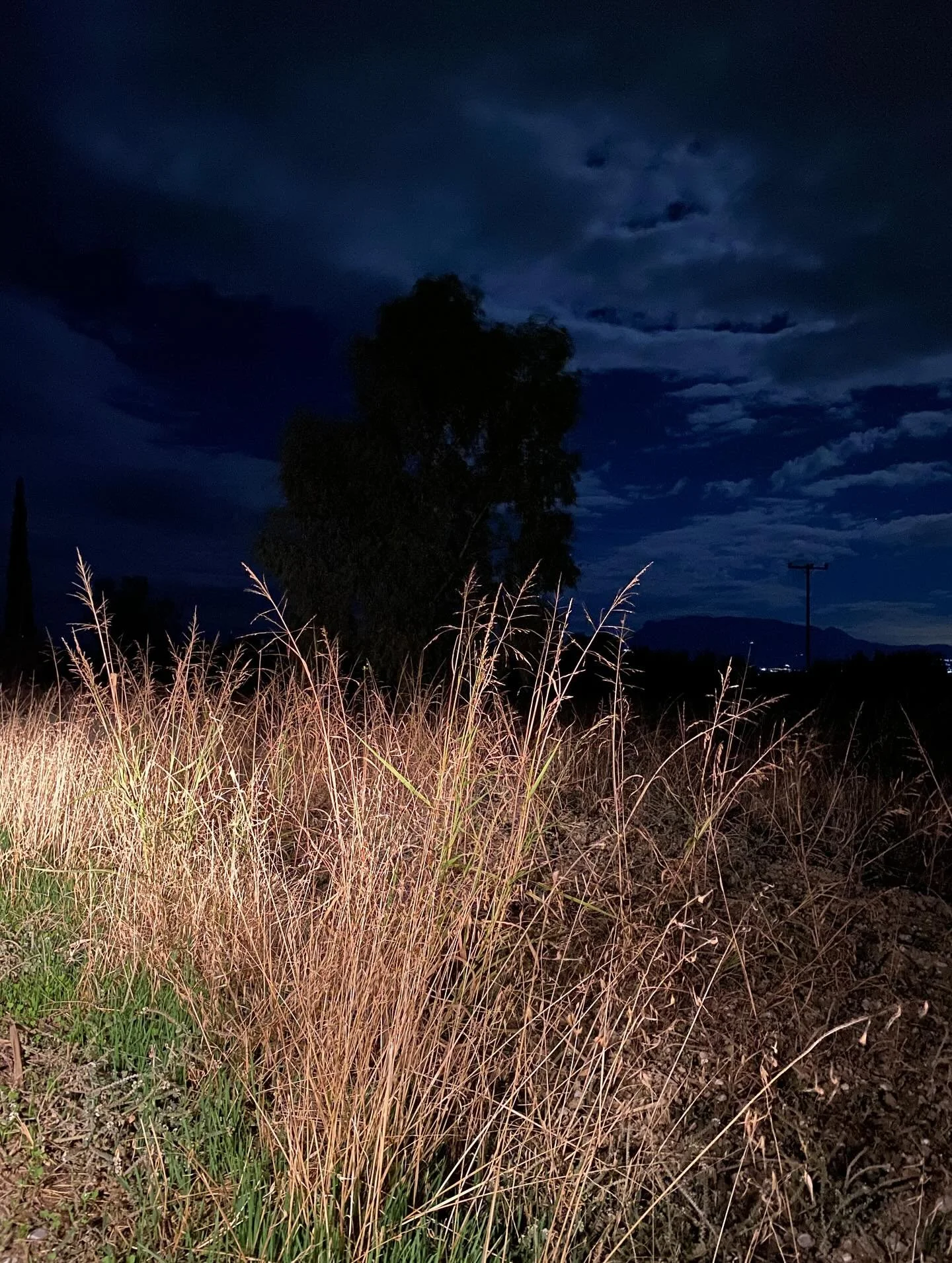 Where the soul comes to rest&hellip;

#farm #countryhomes #farmgirl #serenity #night #nightphotography #lifehacks