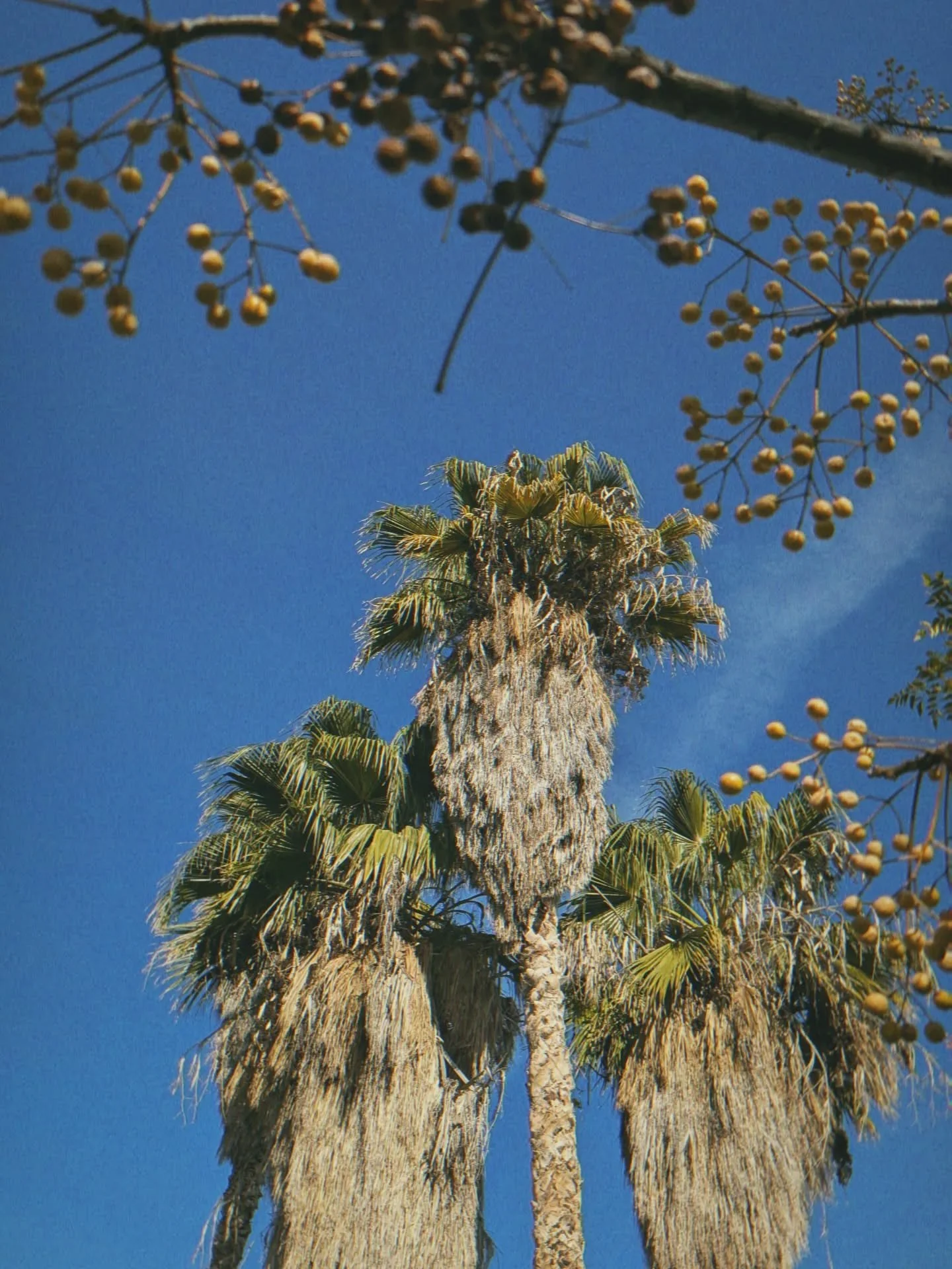 &quot;There's a million miles of railroad tracks that run across my mind... &quot; 

There is something about old train stations and railroad tracks that make me fall in love with them ...

#rail #train #railroad #travel #health #calm