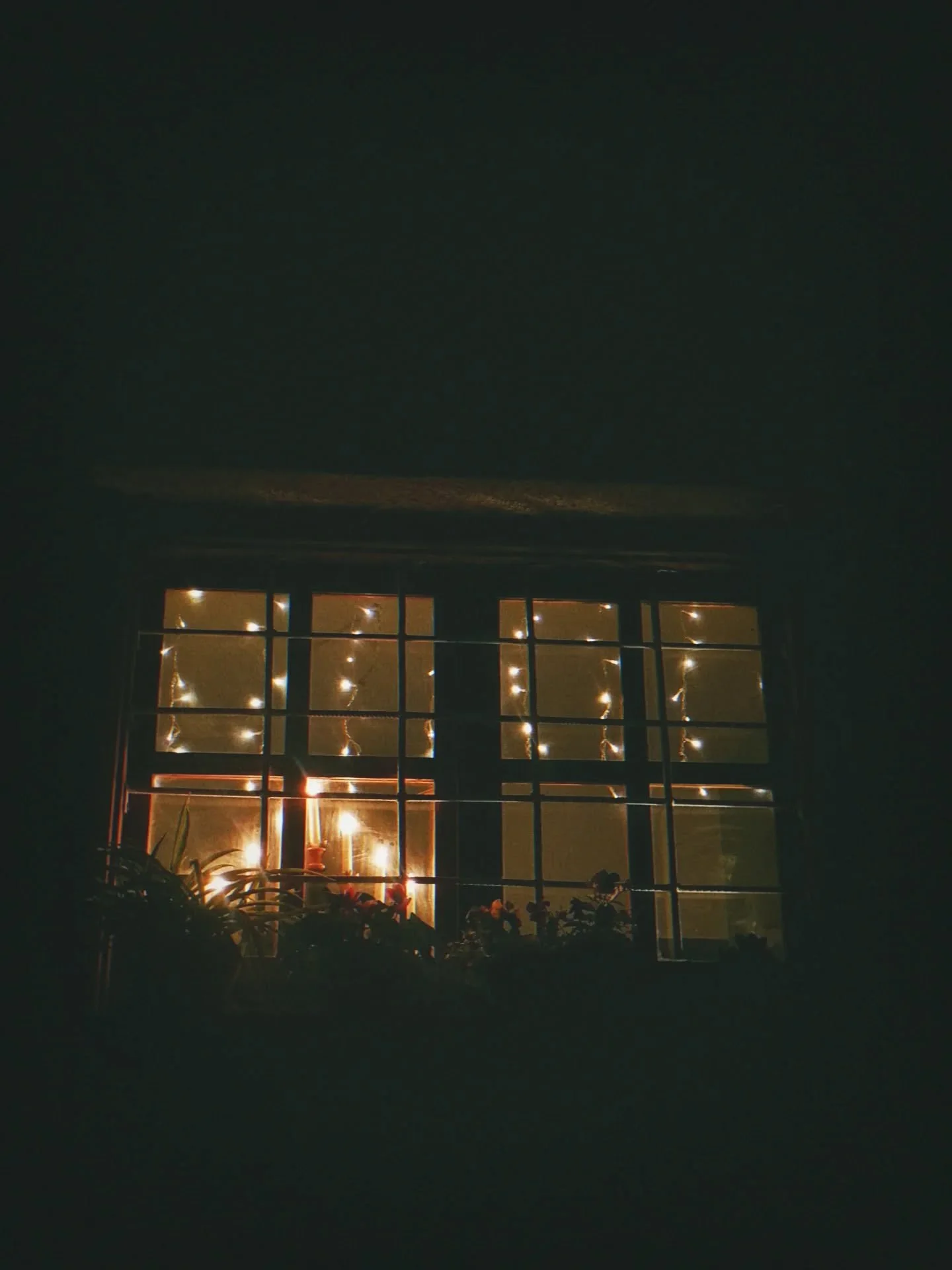 I have always loved the decorated with lights windows that during the winter time and especially the holidays invite the weary and the lonely inside, to share the warmth and the food and keep company as people should...

#humanity #kindness #hospital