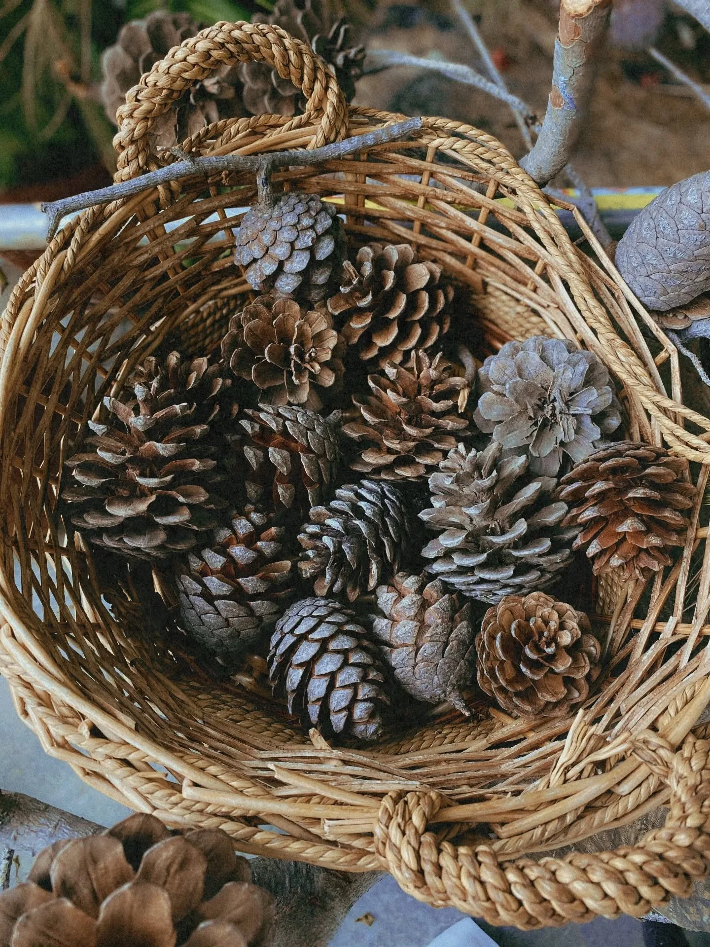 Simple things tell you how beautiful the world is. Despite the darkness. 

A million things on my mind angels.

#nature #beautiful #darkness #hope #coaching