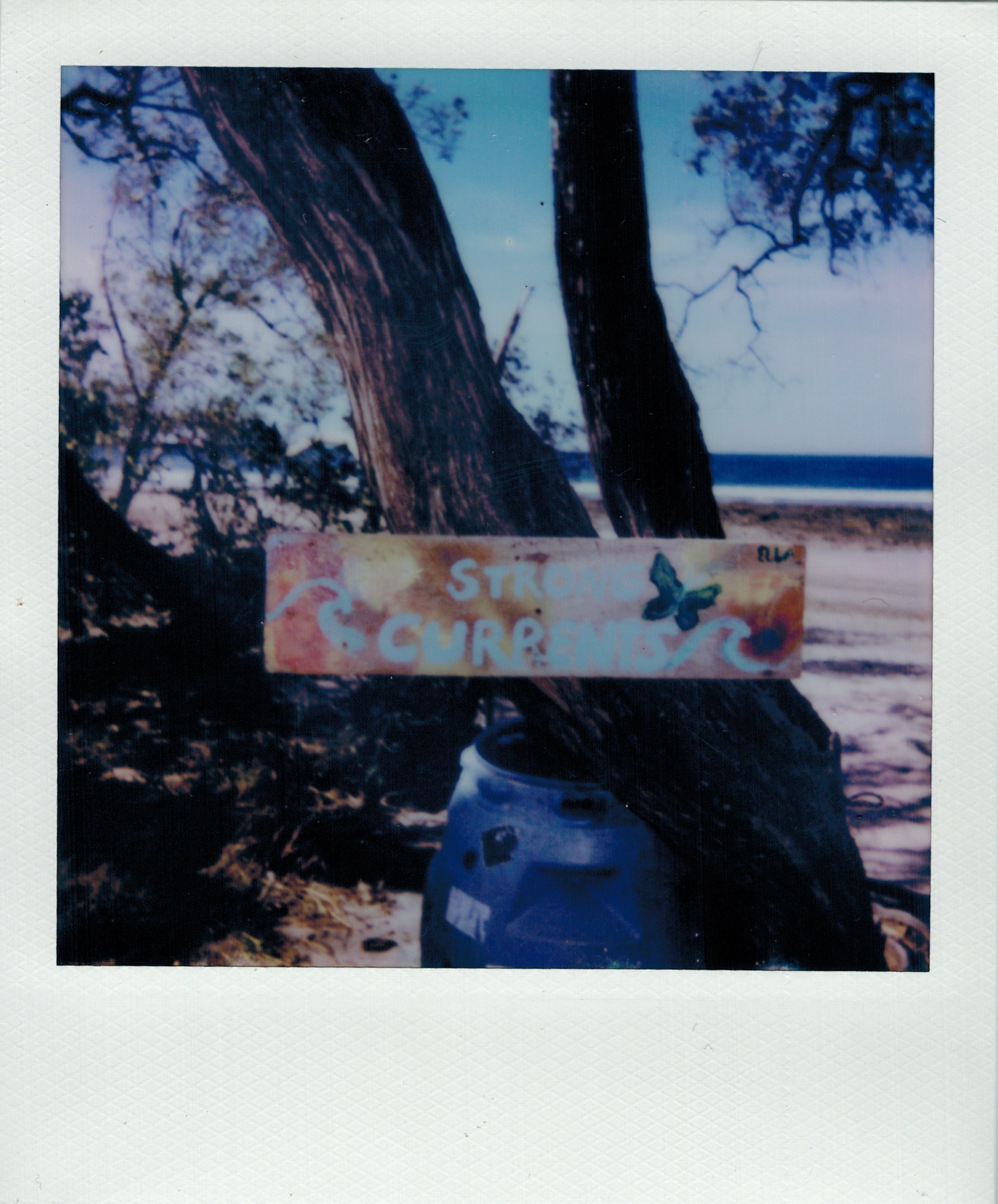 04102023_POLAROID_color 23.jpeg