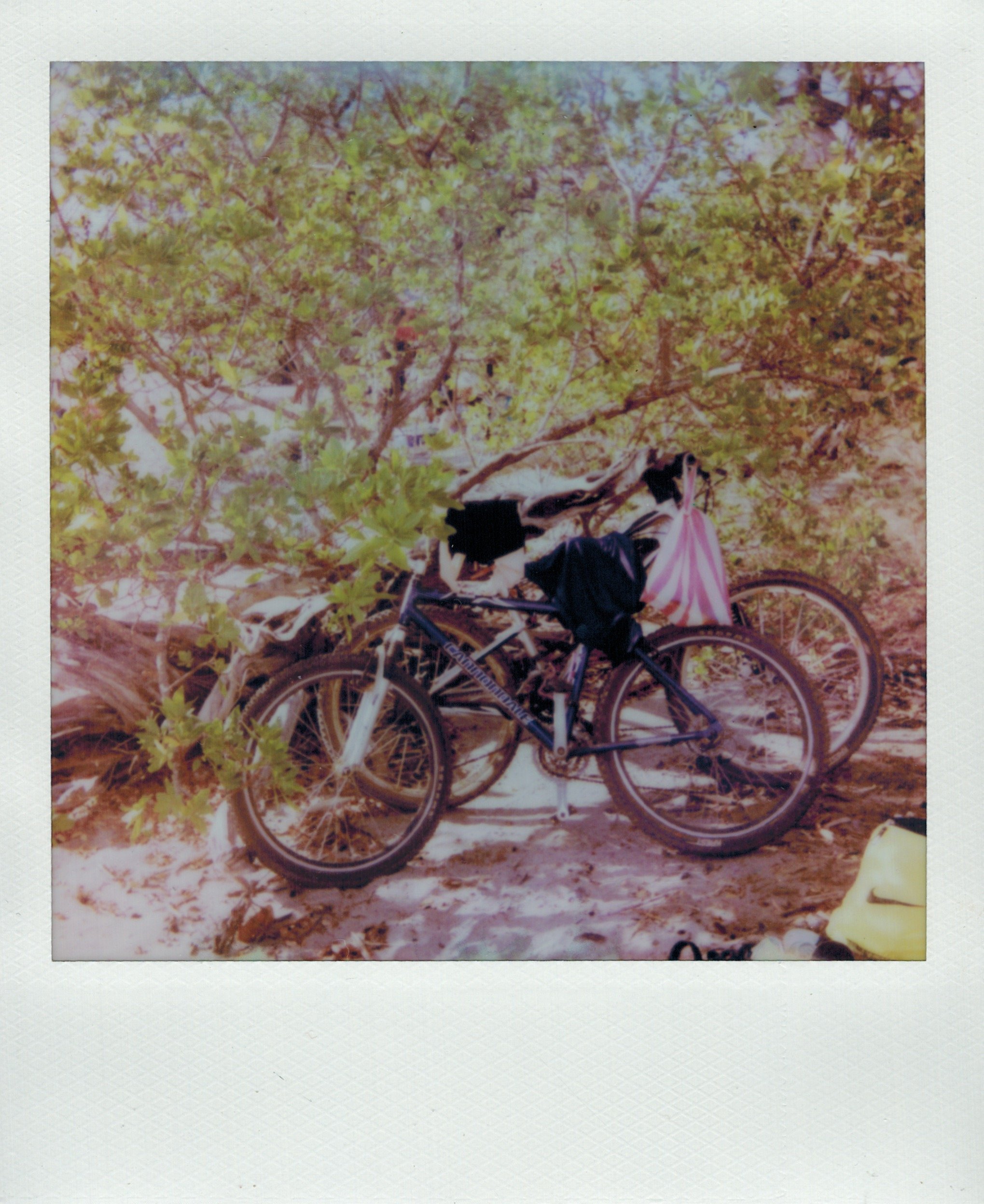 04102023_POLAROID_color 28.jpeg