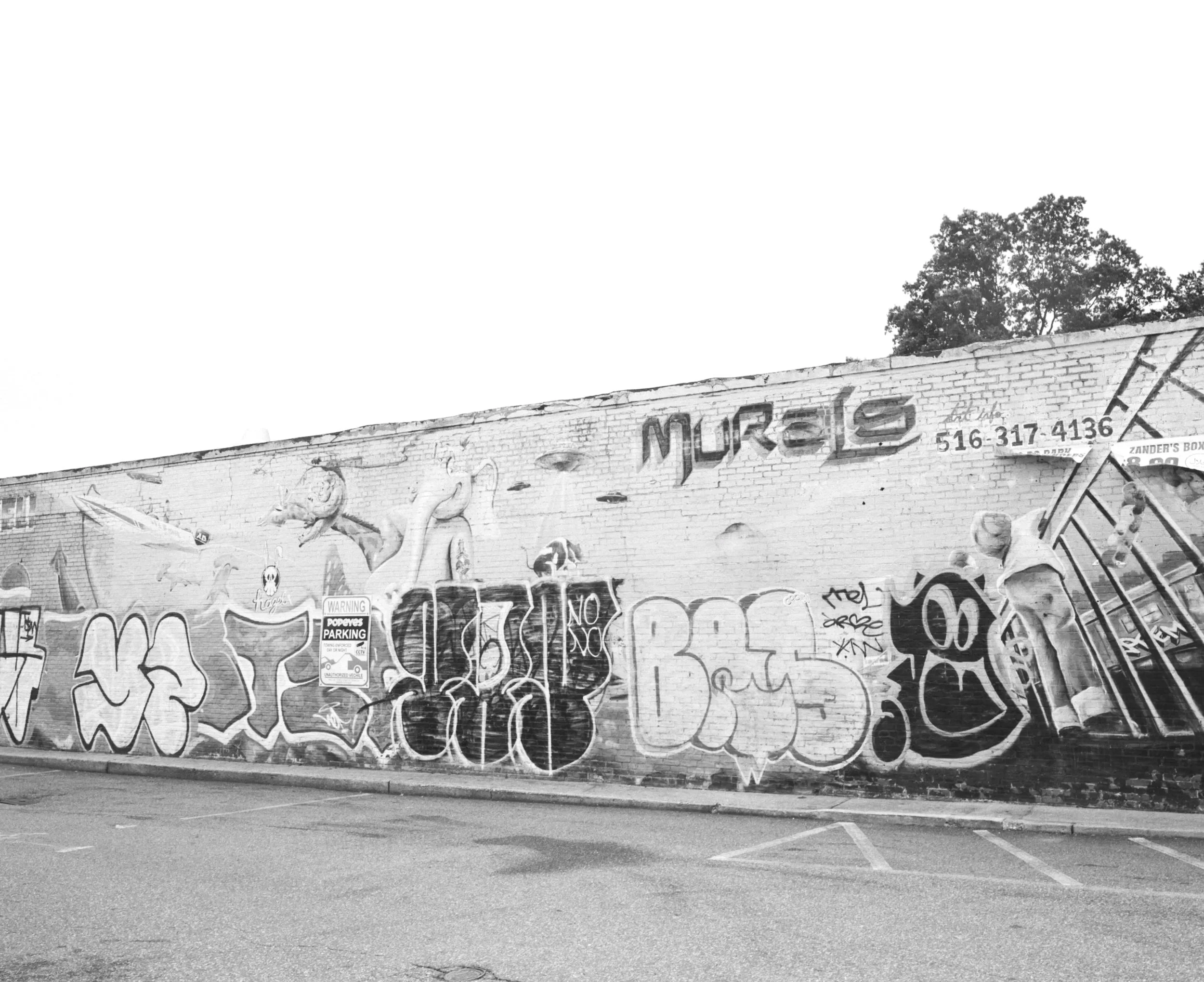 489334_4993_03.jpg