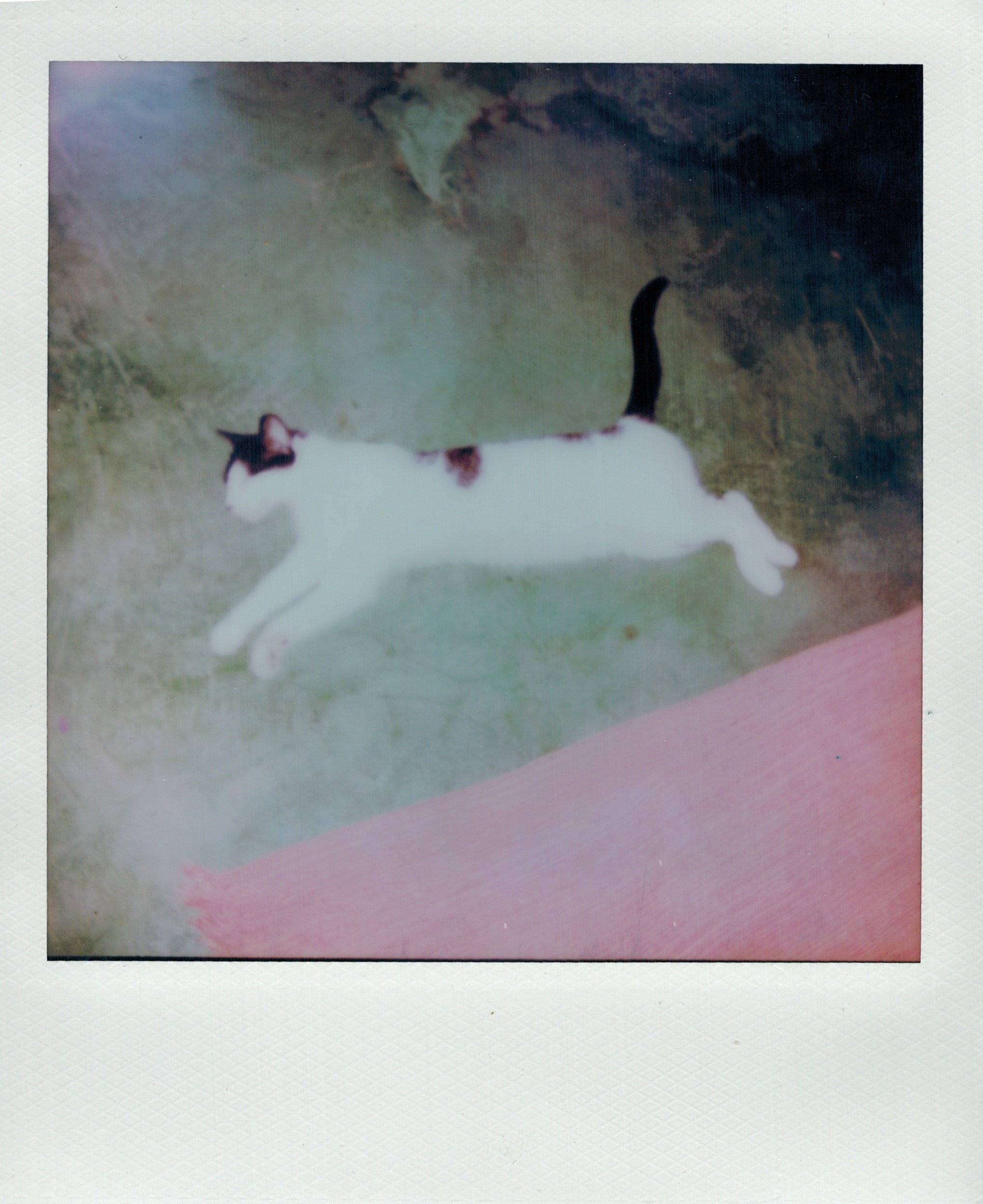 04102023_POLAROID_color 29.jpeg