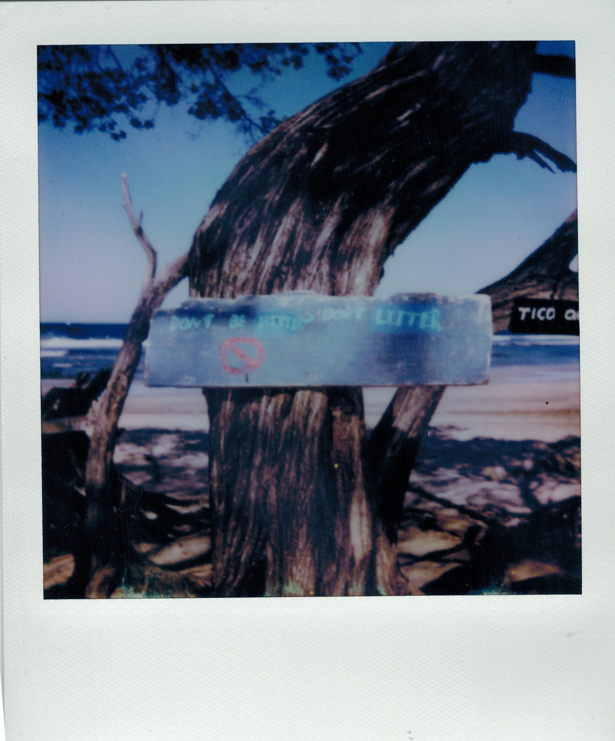 04102023_POLAROID_color 21.jpeg