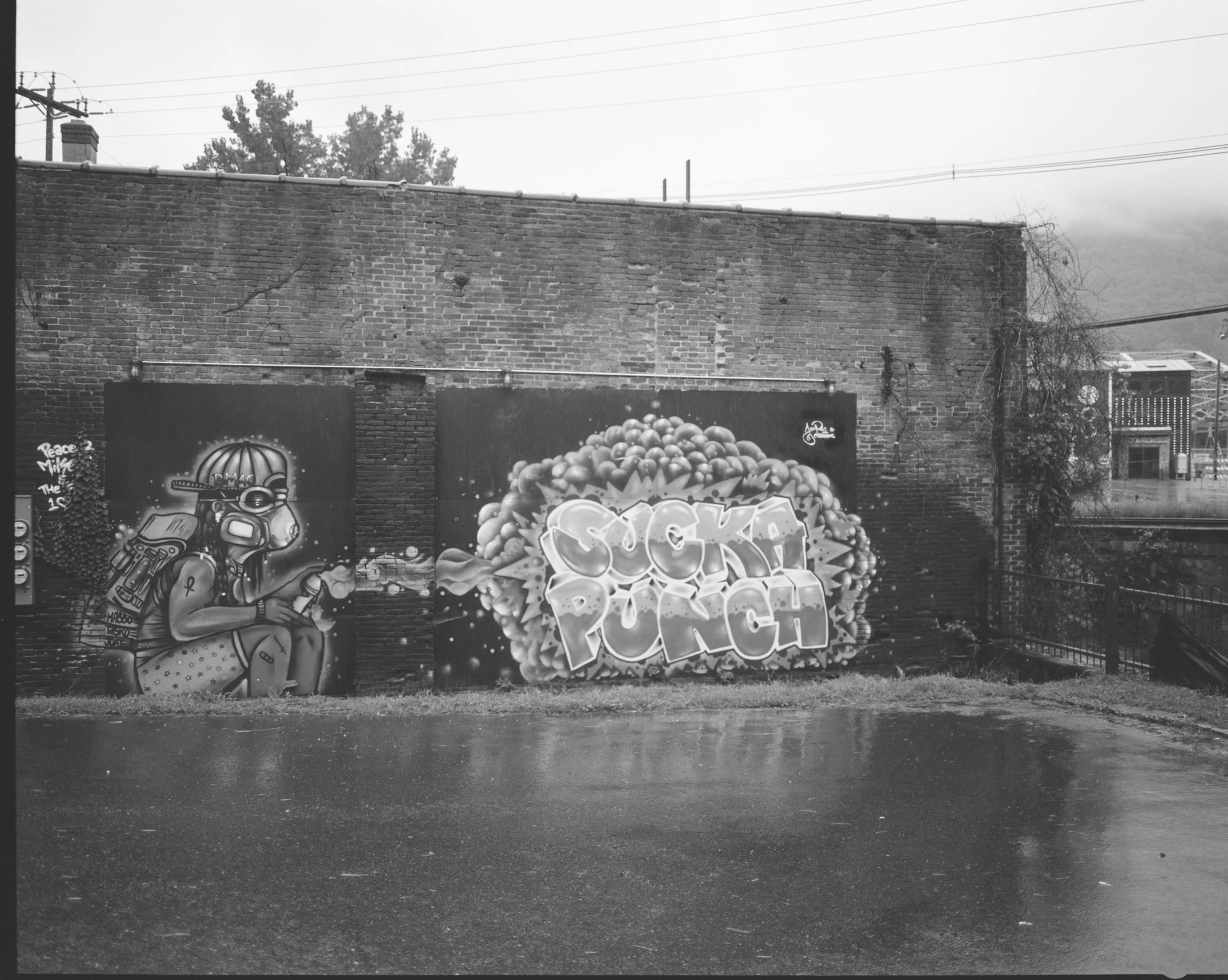 487997_2902_10.jpeg