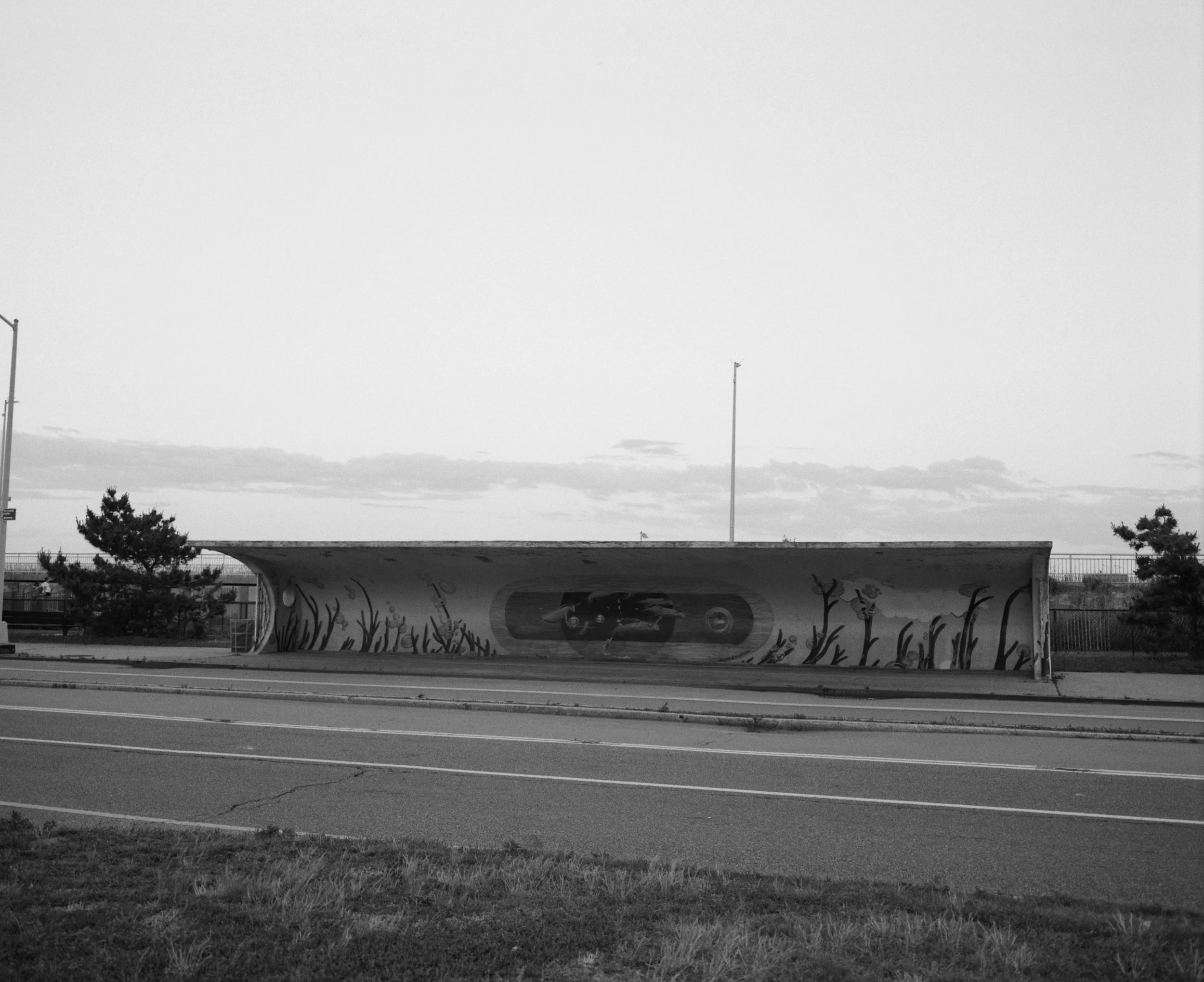 486180_397_08.jpg