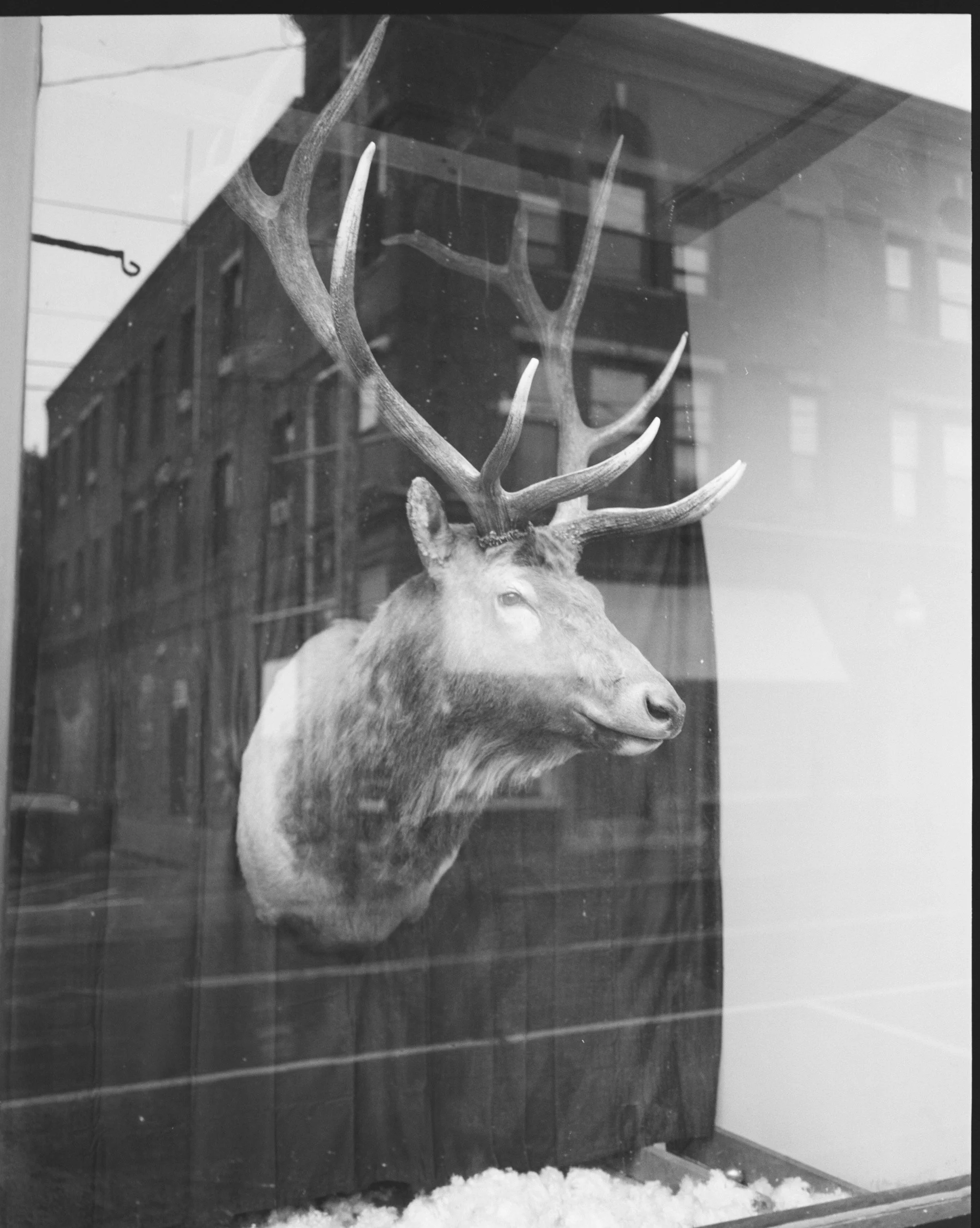 487997_2900_08.jpeg