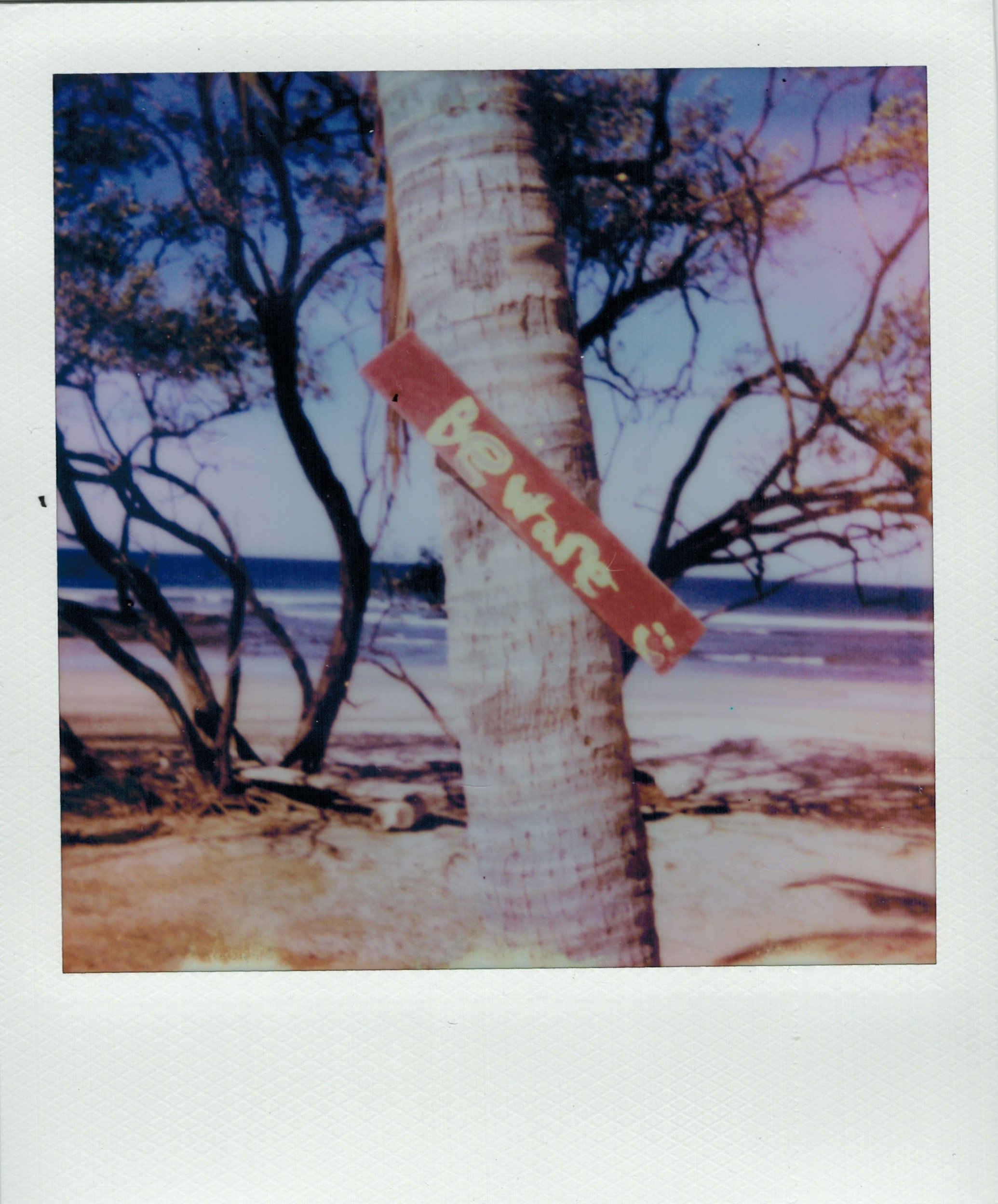 04102023_POLAROID_color 24.jpeg