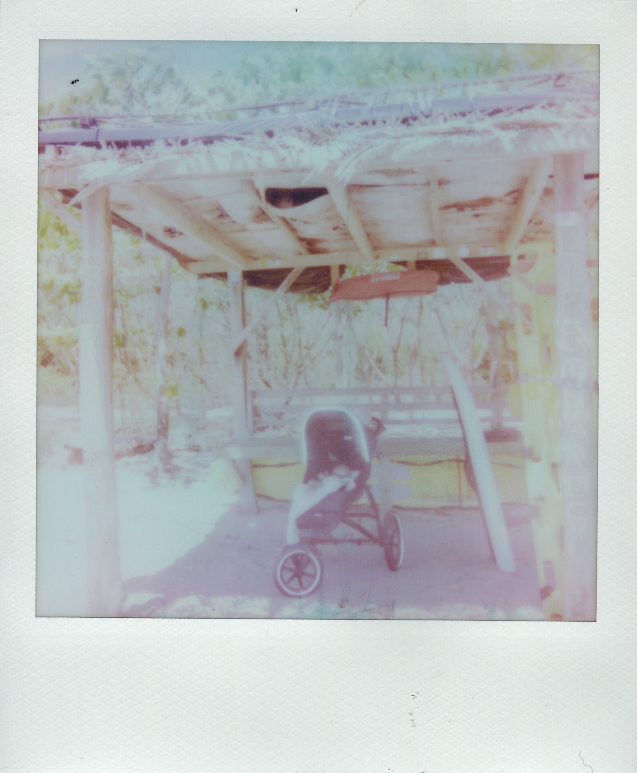 04102023_POLAROID_color 6.jpeg