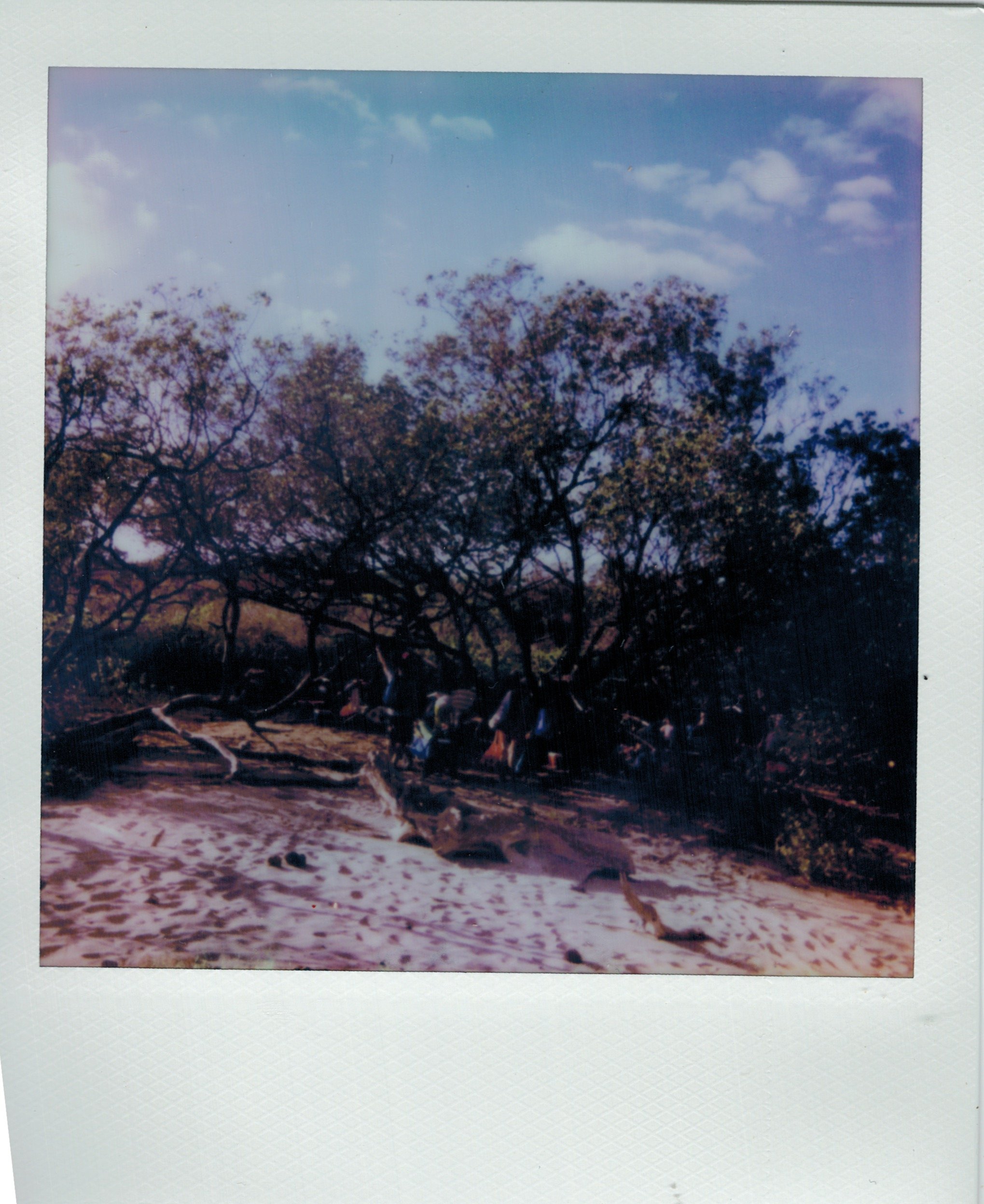 04102023_POLAROID_color 27.jpeg