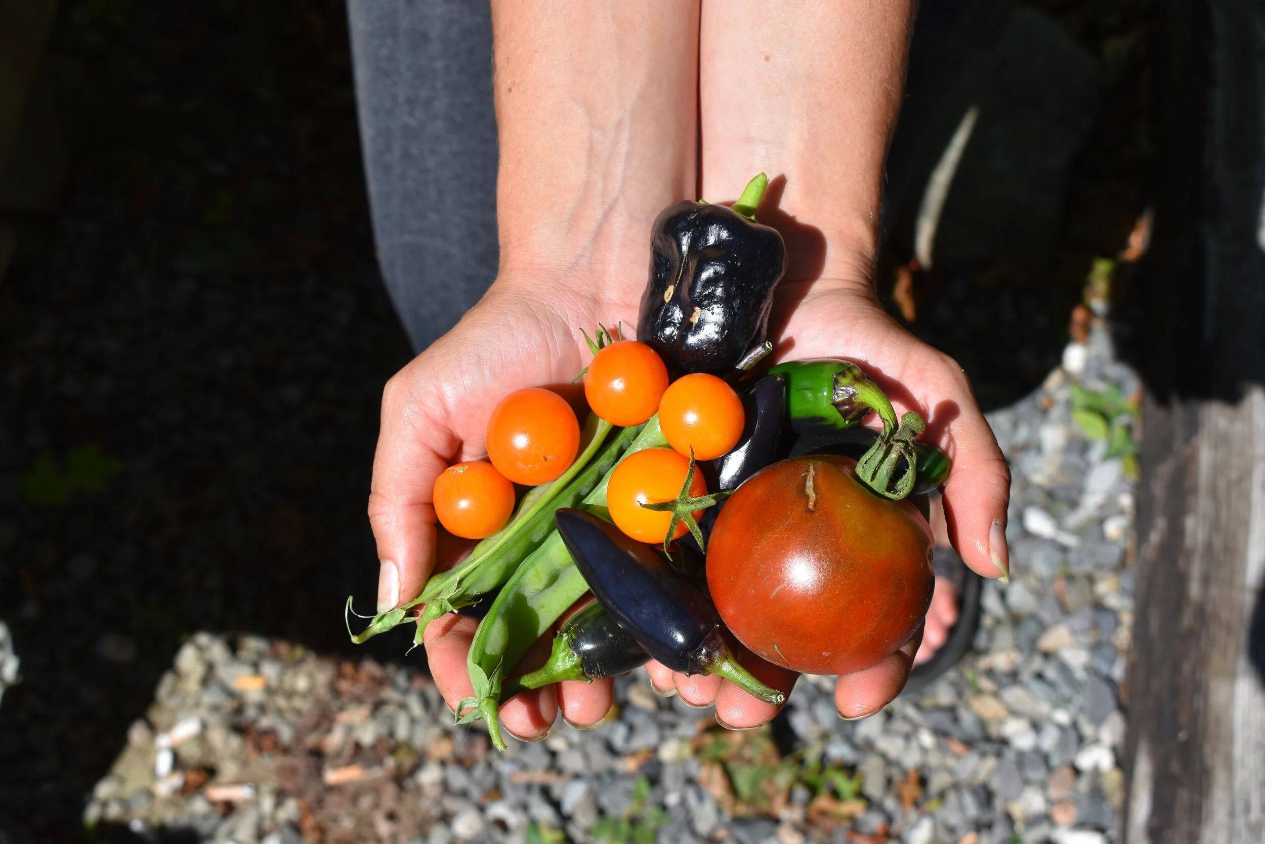 Bar Harbor Food Pantry