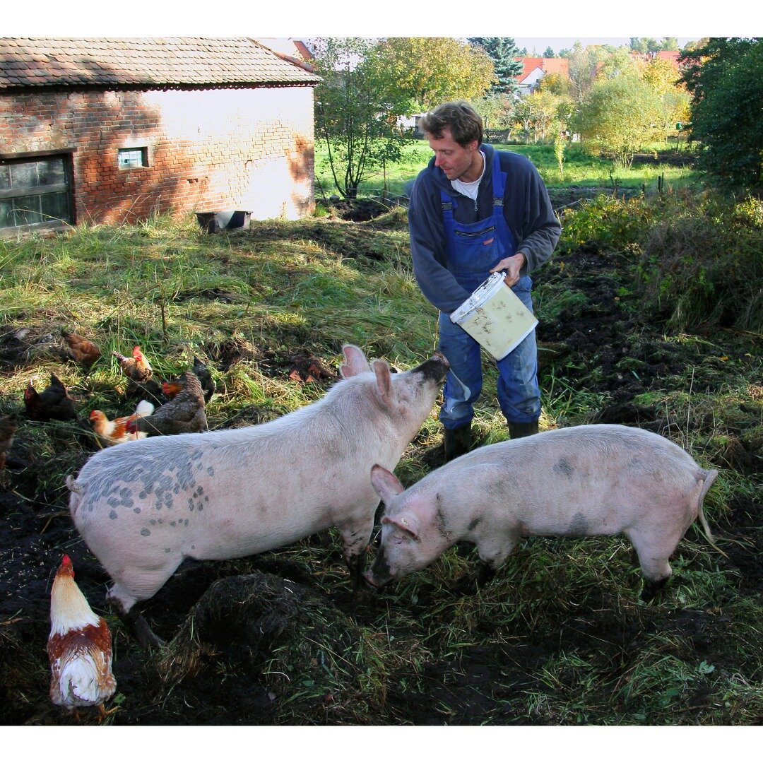 Does anyone have pigs or chickens? Unfortunately the pig farmer who was picking up our food waste buckets has gotten rid of their animals and we hate to throw organic waste in the trash 🥴

If so, please send us a PM, give us a call, or email Emily (