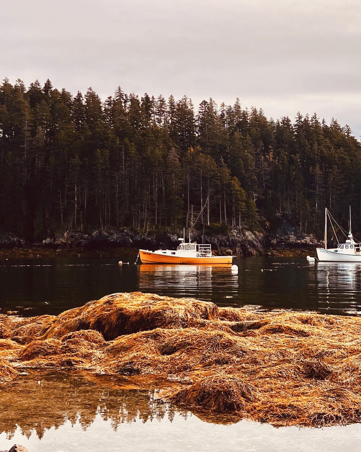 Wherever you go becomes a part of you somehow&rdquo; &ndash; Anita Desai
Seal Cove, Maine 
.
.
.
.
#maine #acadianationalpark #acadia #mainecost #sealcovemaine #sealcove #fishing #lobstering #crabing #boat