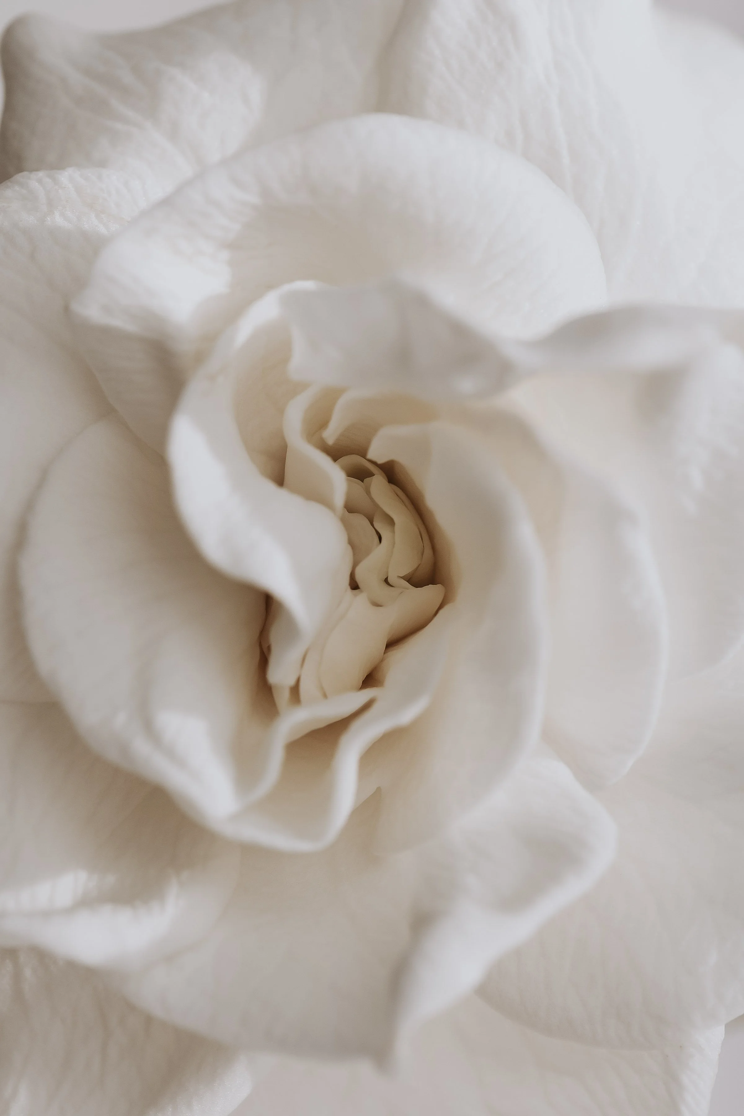 WOMBTEMPLE1305 copy.jpg