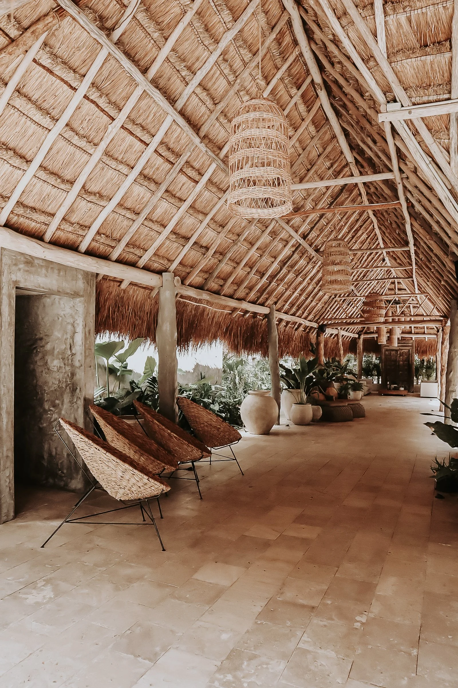 Copy of palapa.jpg