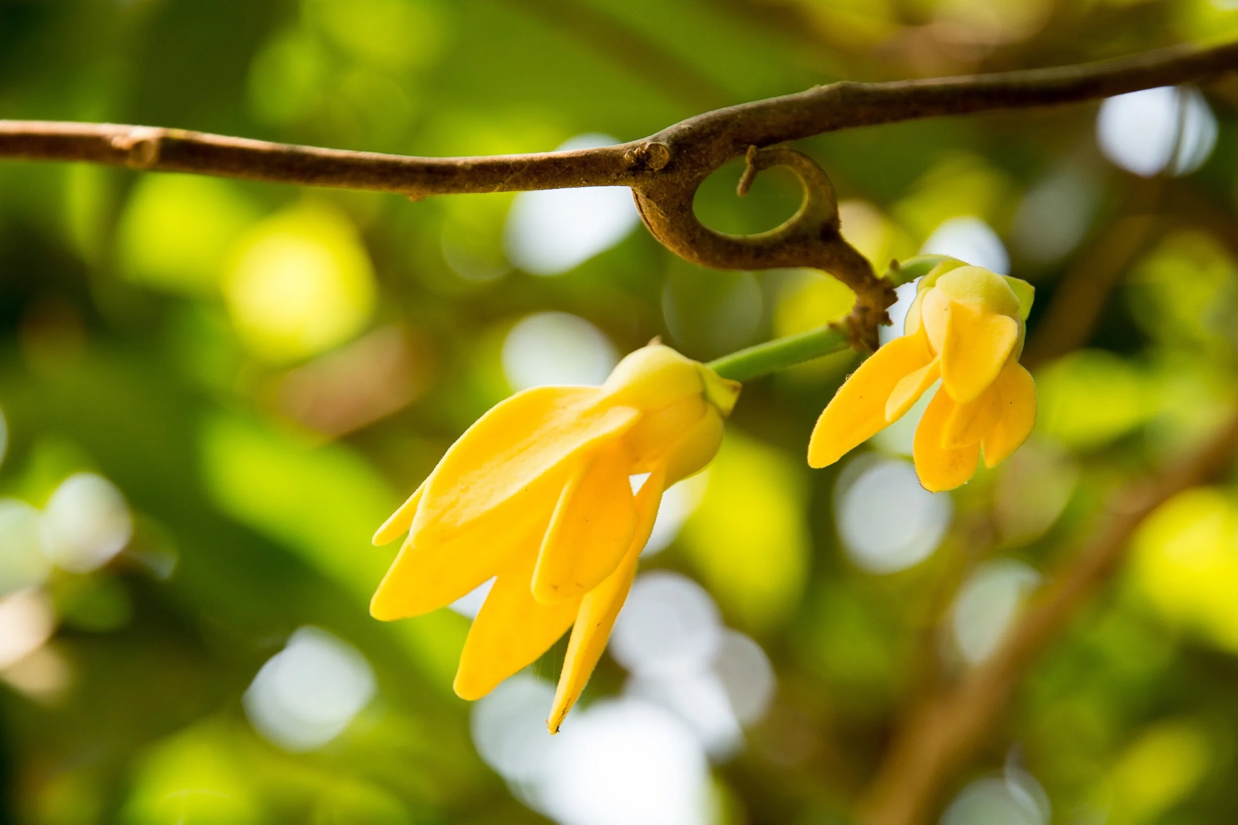 AdobeStock_110954803.jpeg