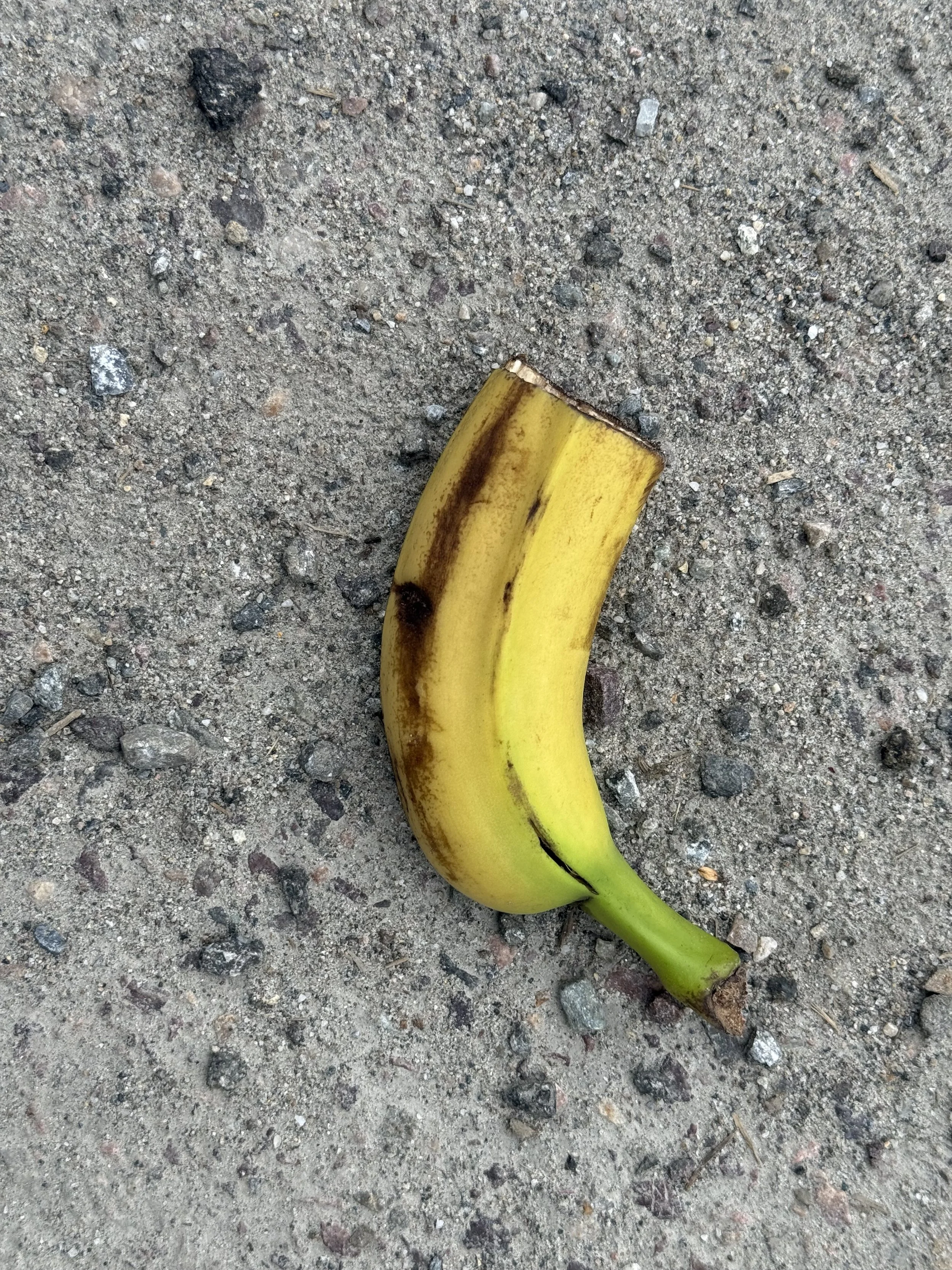 A half of banana peel. Its cut in half crosswise. It is a lovely yello to chartreuse color to the stem.