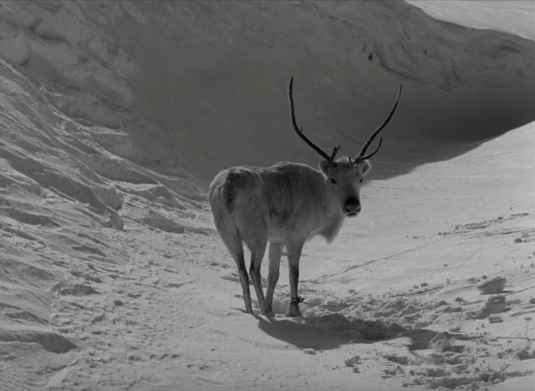 Holiday Horror (pt. IV)