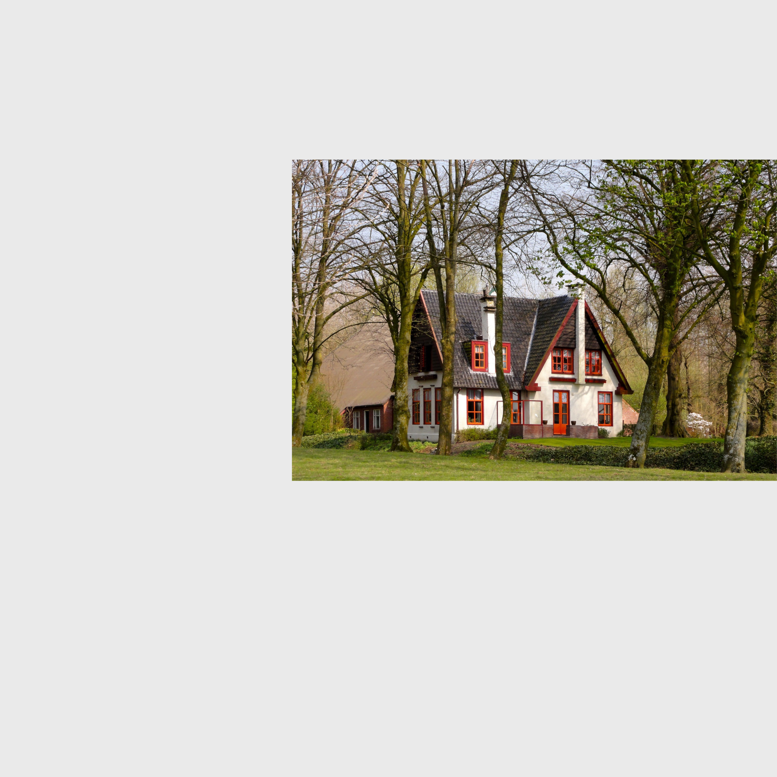 Copy of Arena What We Offer Header (5).png