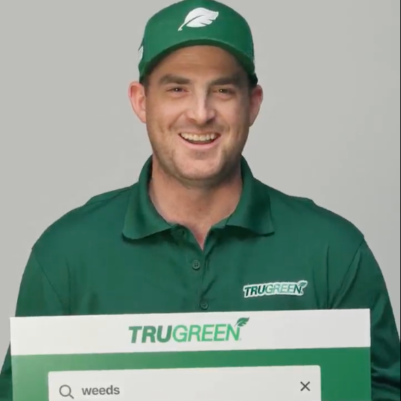 TruGreen Most Searched Questions