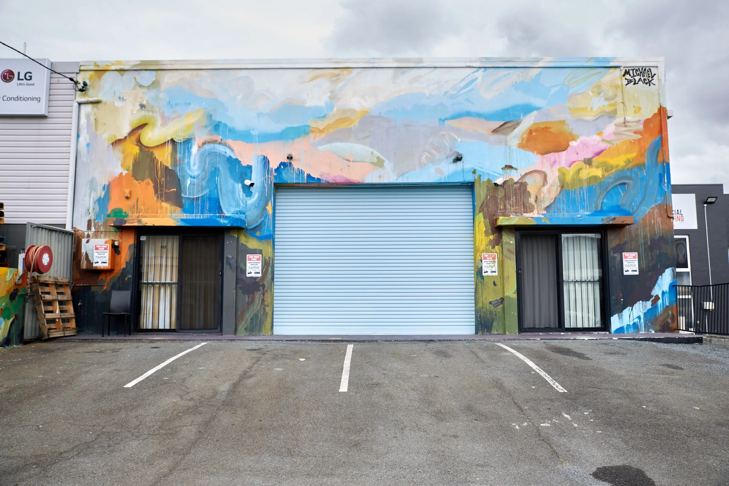 Mural Artist Sydney Public Artworks — Michael Black Art