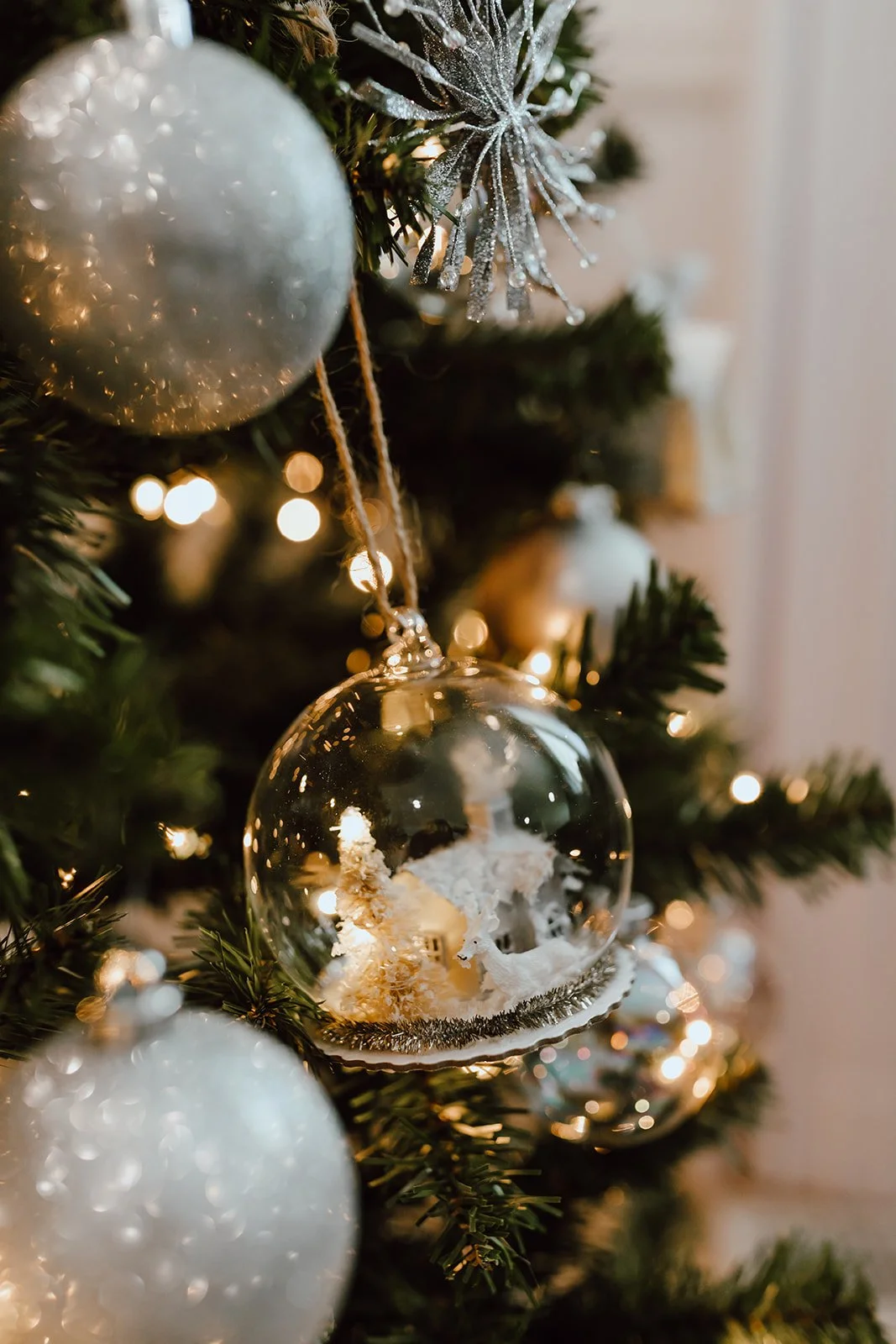 Valley View Vision Christmas 2023-8_websize.jpg