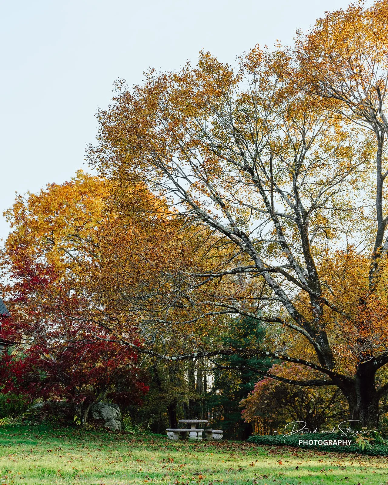 Manor House Inn Fall 2023-49_websize.jpg