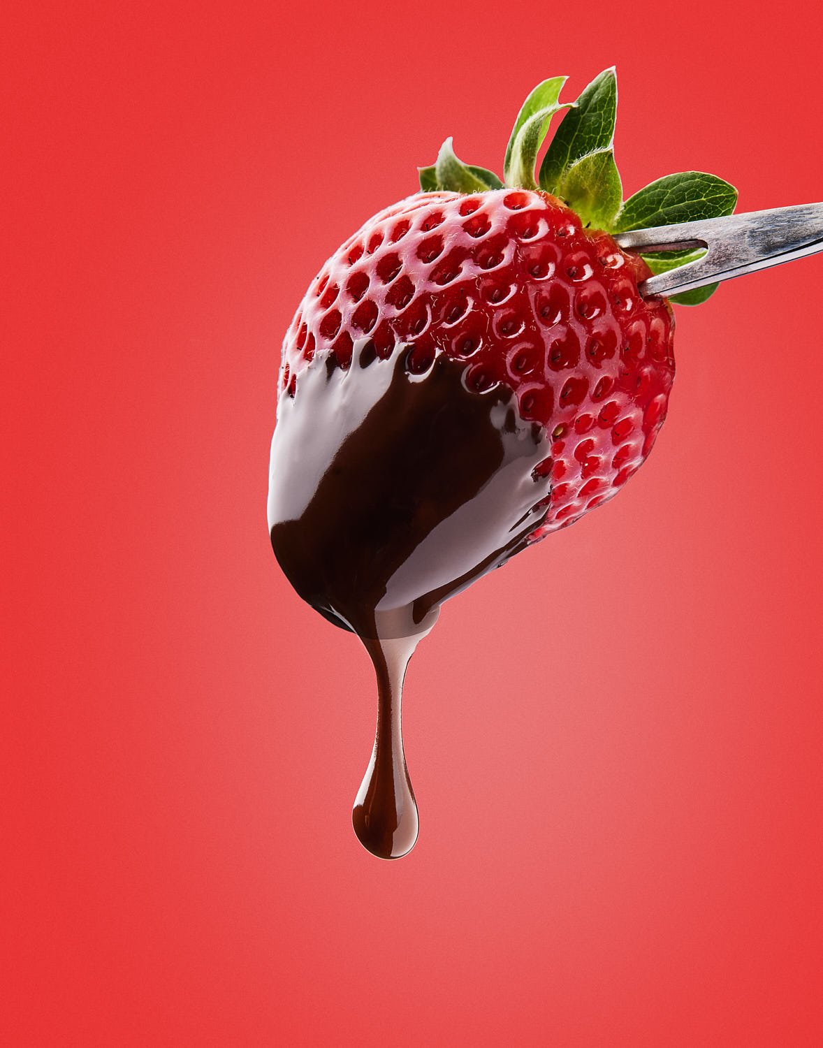 A beautiful whole red strawberry with a green stem on a fondue fork freshly dipped in chocolate with a perfect chocolate drip - on a red background. Created by CPG - consumer packaged goods Seattle based photographer Mike Gluckman.