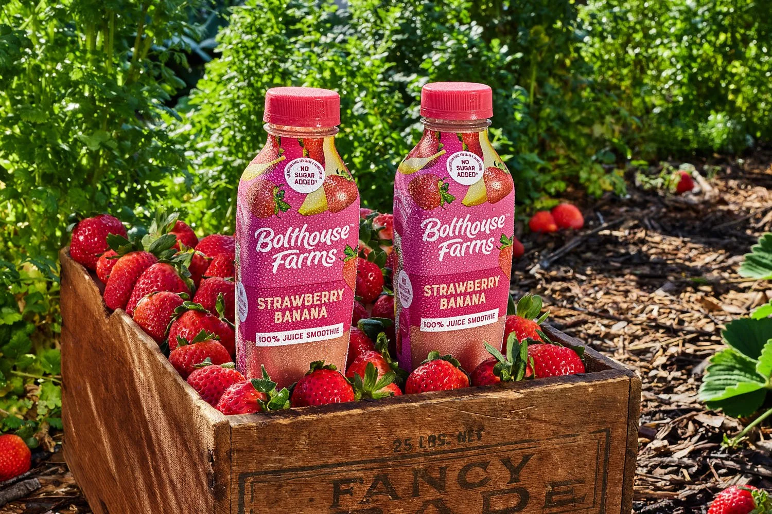 Two bottles of Bolthouse Farms Strawberry Banana juice smoothies in a wooden crate filled with strawberries outdoors on a farm, with green foliage in the background.