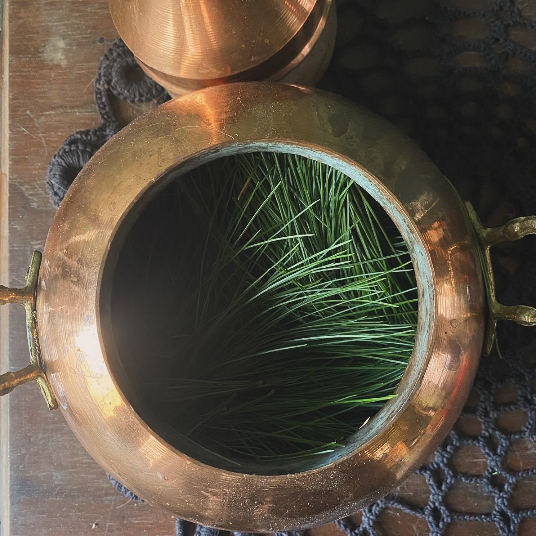 Unashamedly promoting who I am in many facets of my life. My work is not separate from my practice is not separate from my self awareness is not separate from my own personal journey of growth and discovery. All is constantly informing one another. 
