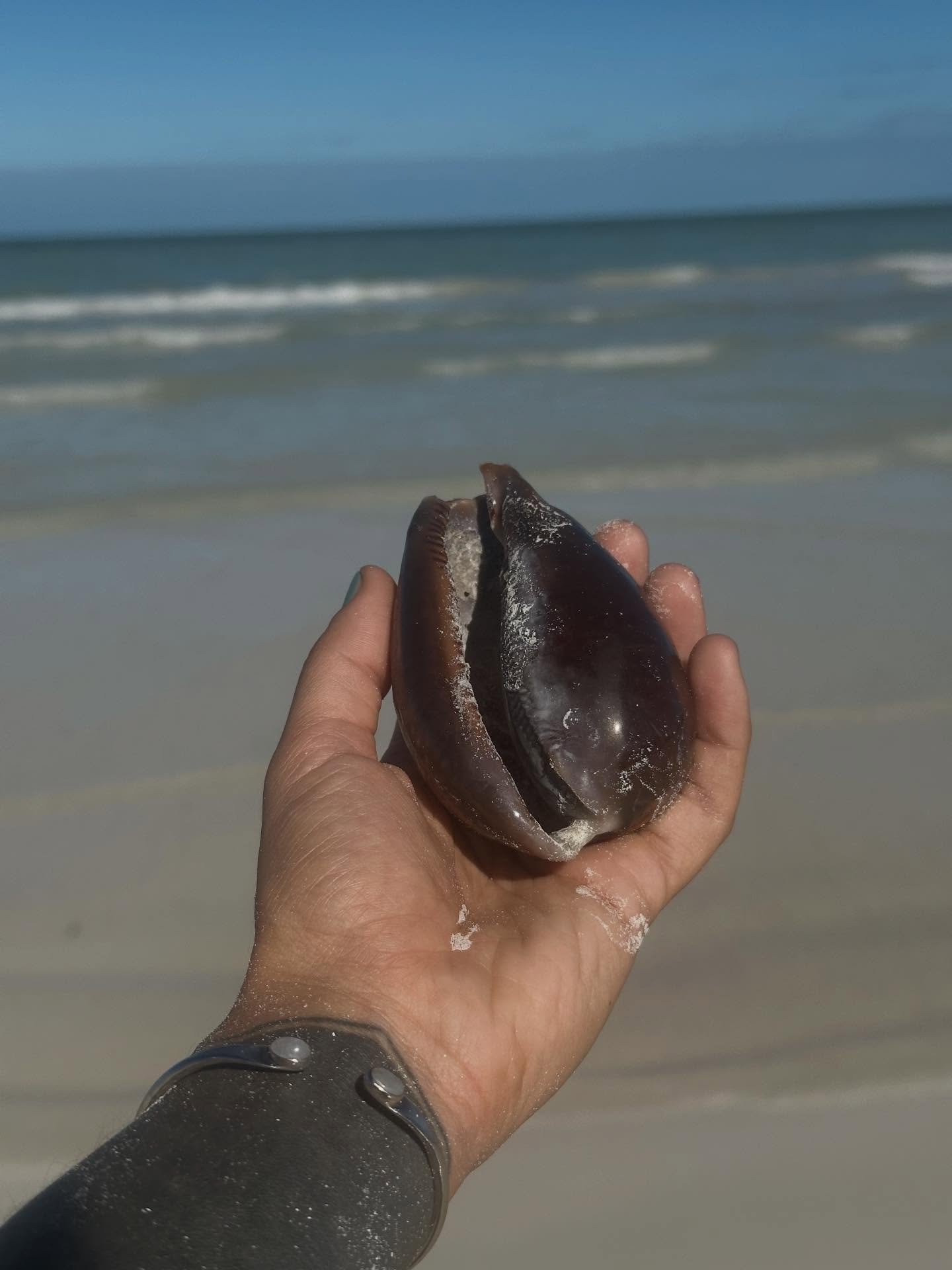 Life has been a complete whirlwind over the last few months. So much learned, and left, and built within and outside of myself this year. Before making the decision to take a leap of faith in living in another country for an extended period of time I