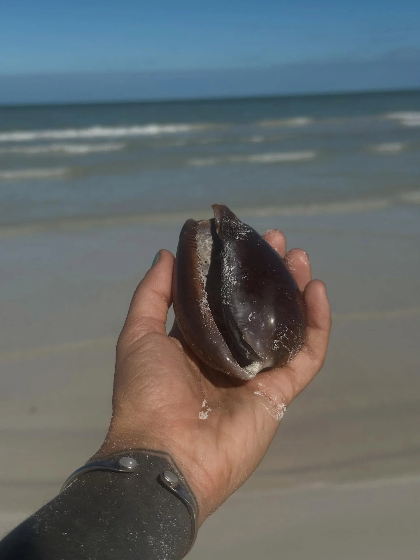 Life has been a complete whirlwind over the last few months. So much learned, and left, and built within and outside of myself this year. Before making the decision to take a leap of faith in living in another country for an extended period of time I