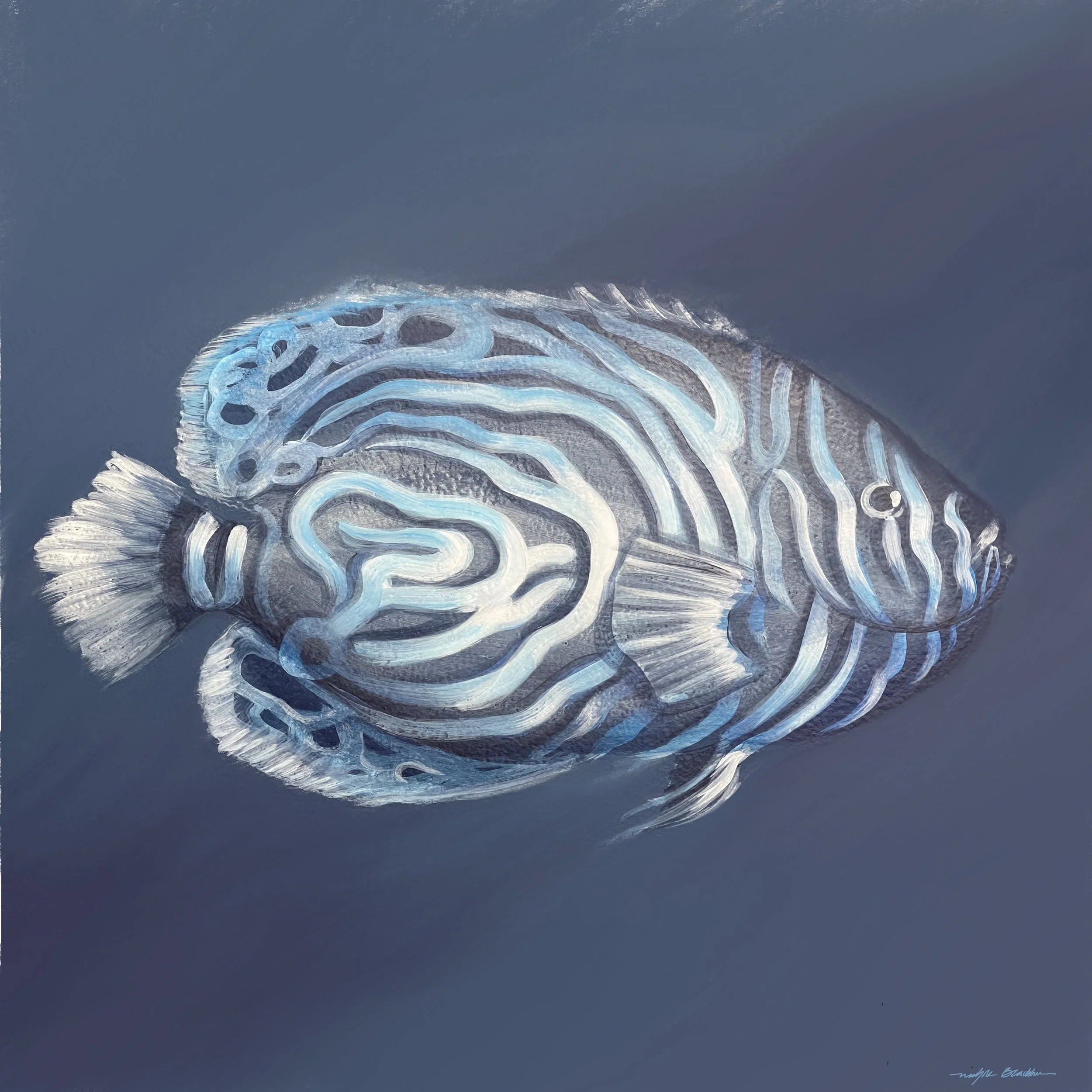 Canvas_Blue_Maze_Fish_Celadon Studio Fine Art_Nichole Blackburn_All Rights Reserved 2026.jpg