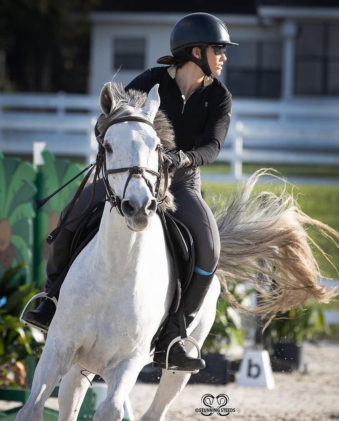 I am greatful for the opportunity to participate in this sport, for the discipline of training 3x/week and most of all the connection between mind, body and spirit of the horse and rider. Competing here with Mr. Cash Money thanks to @donya_henry_bonn