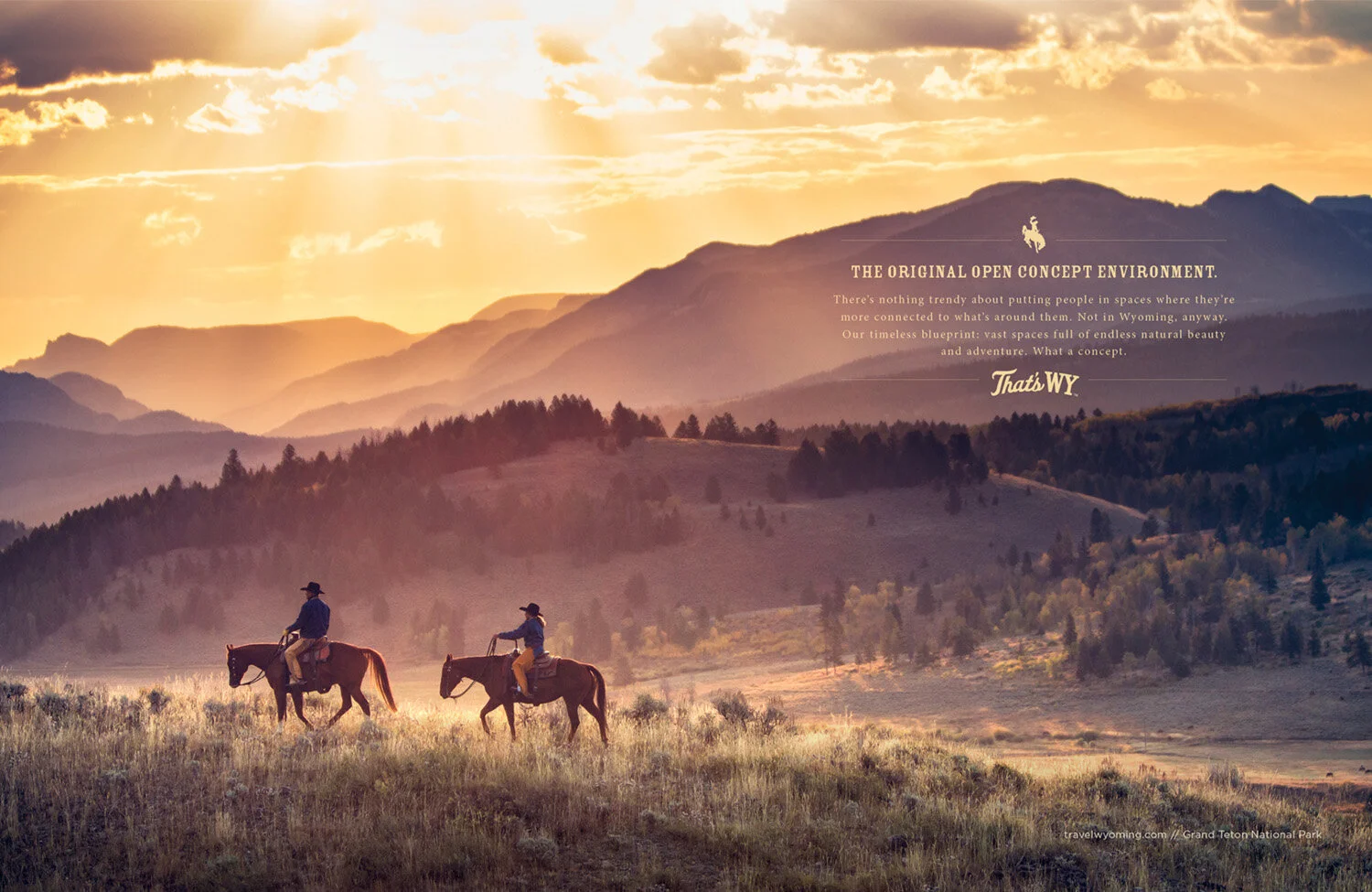 WOT_Summer17_Open Concept.jpg