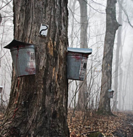 Screen Shot 2020-12-03 at 12.45.41 PM.png