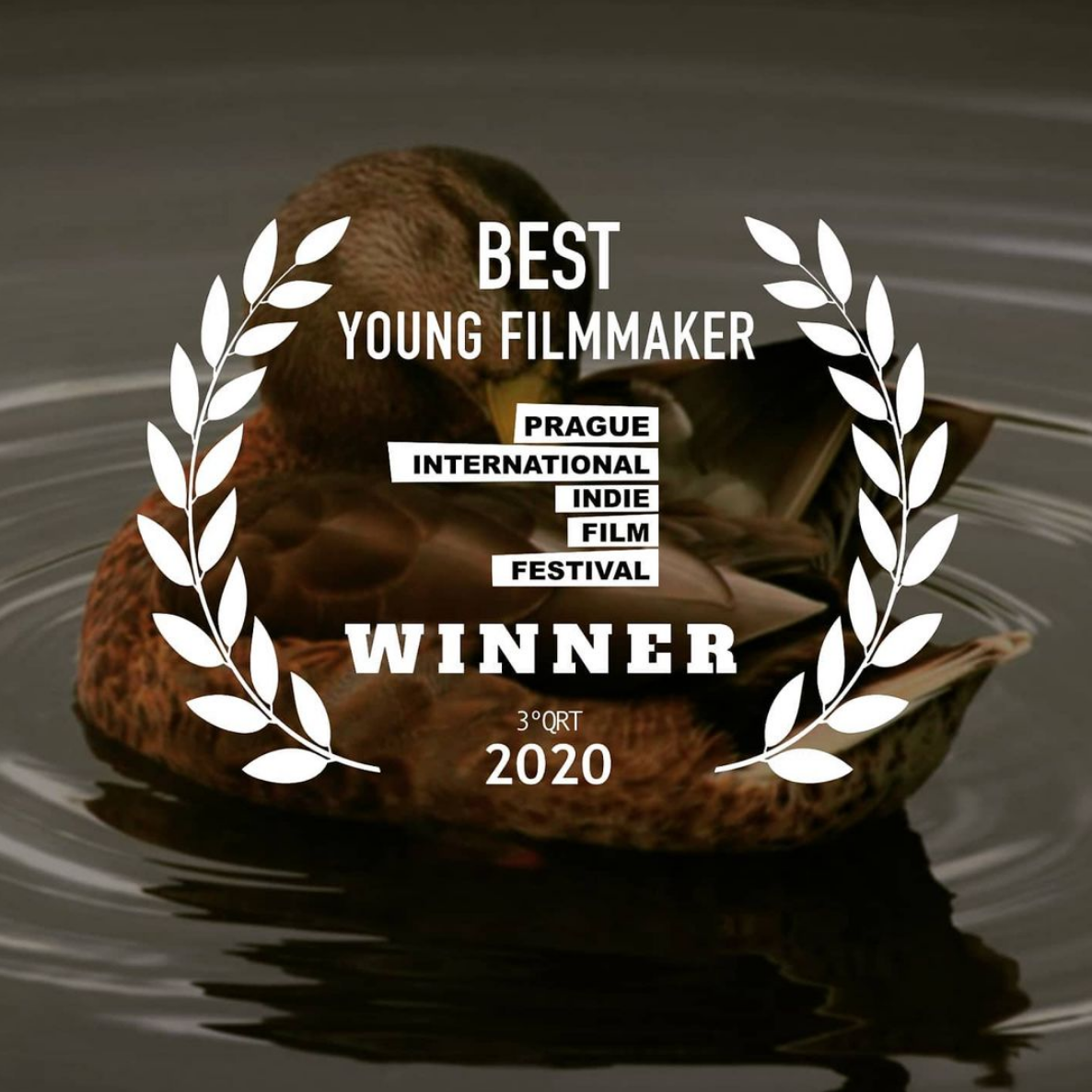 Screen Shot 2020-12-09 at 12.13.26 AM.png