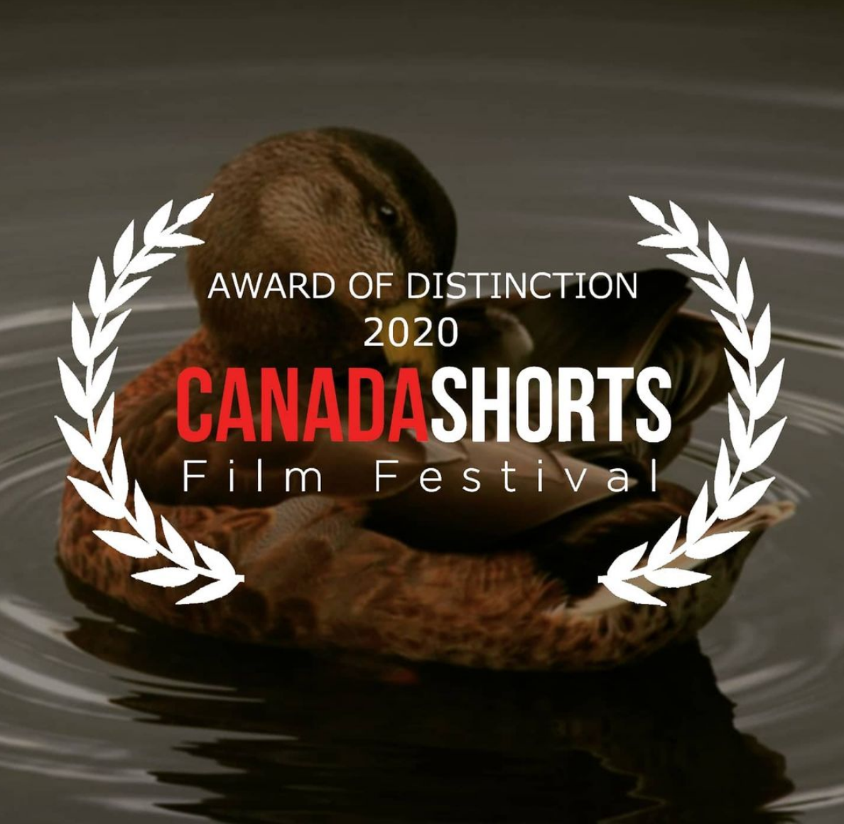 Screen Shot 2020-12-09 at 12.14.14 AM.png