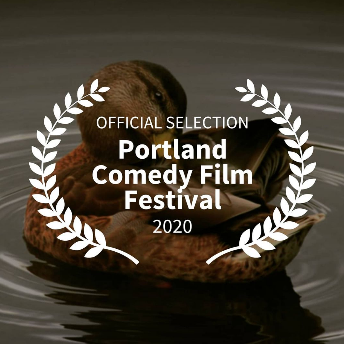 Screen Shot 2020-12-09 at 12.22.42 AM.png