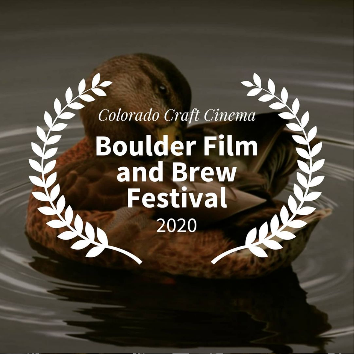 Screen Shot 2020-12-09 at 12.27.50 AM.png