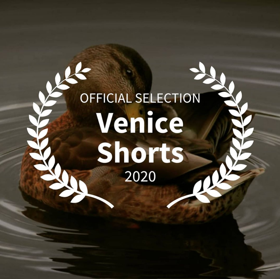 Screen Shot 2020-12-09 at 12.21.42 AM.png