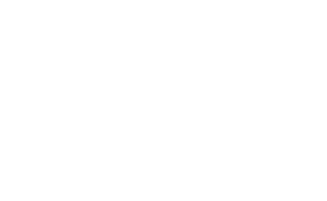Nine Lives Cat Lounge &amp; Adoption Center