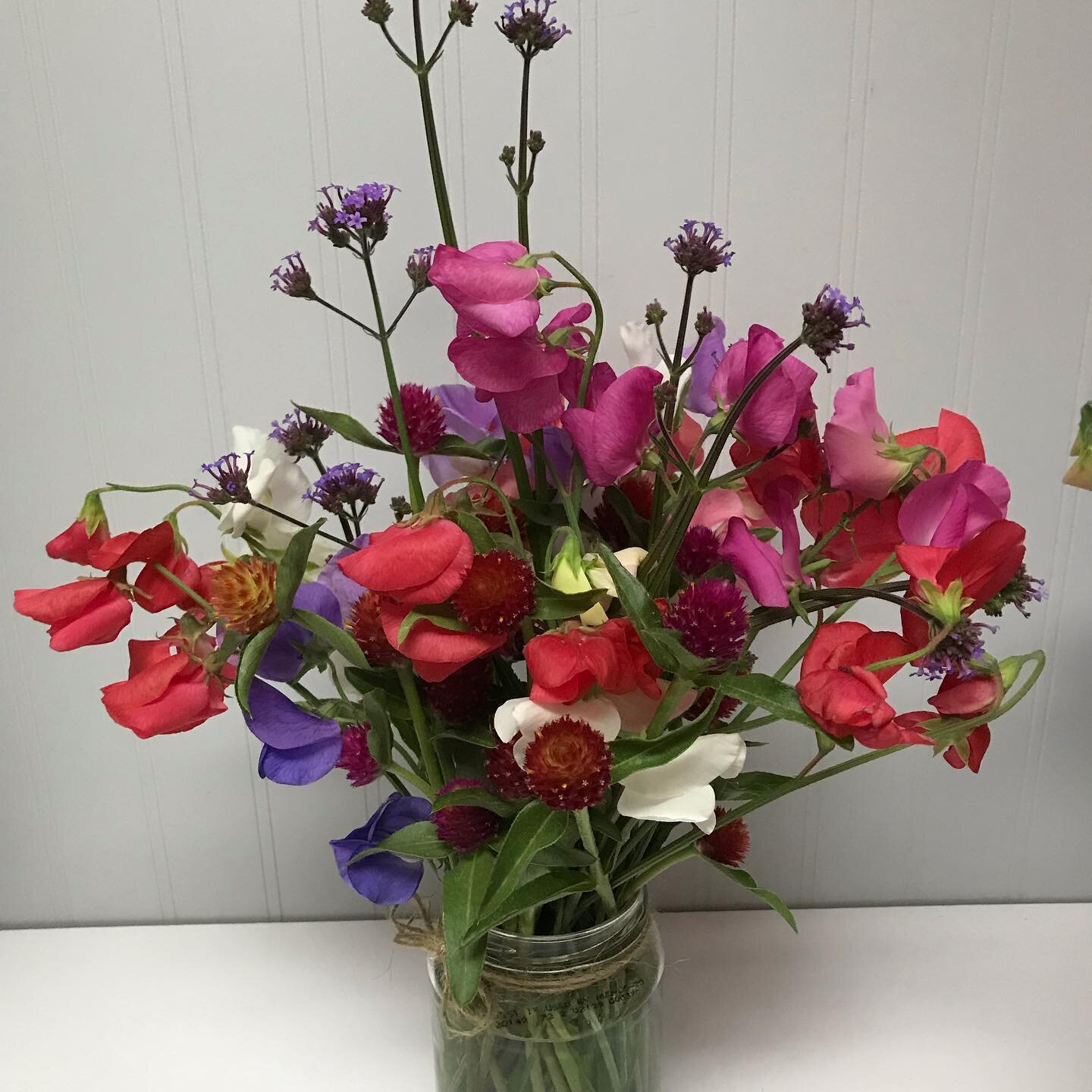 Just picked these sweet peas! I&rsquo;ve never grown these before! Flowers are starting to take off! If you want to brighten someone&rsquo;s day and give them some of these beauties please let me know!
Produce is still growing! Coming in Aug!