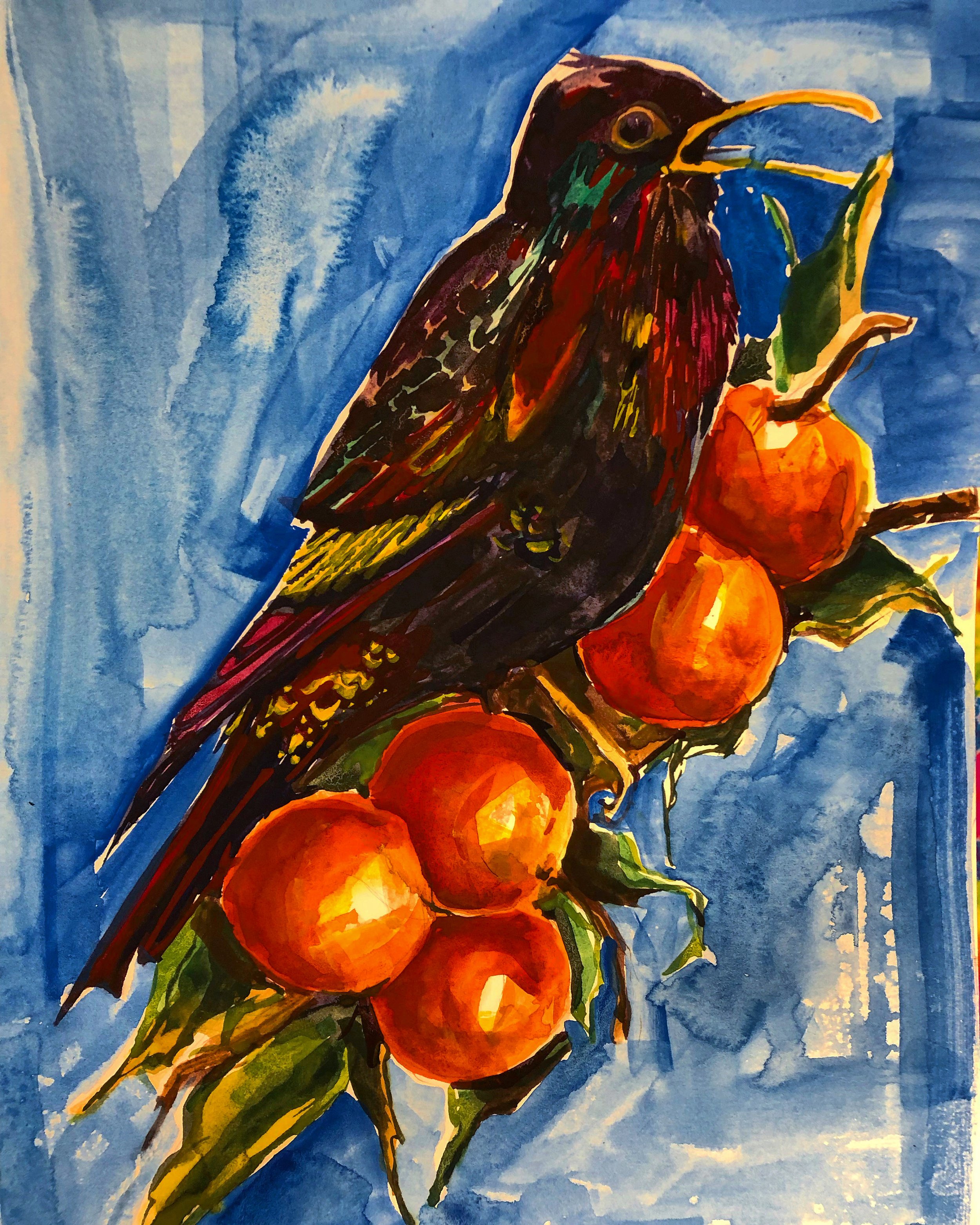   Local Bird (Blackbird)  9x12” Watercolor on cold pressed paper 2021 