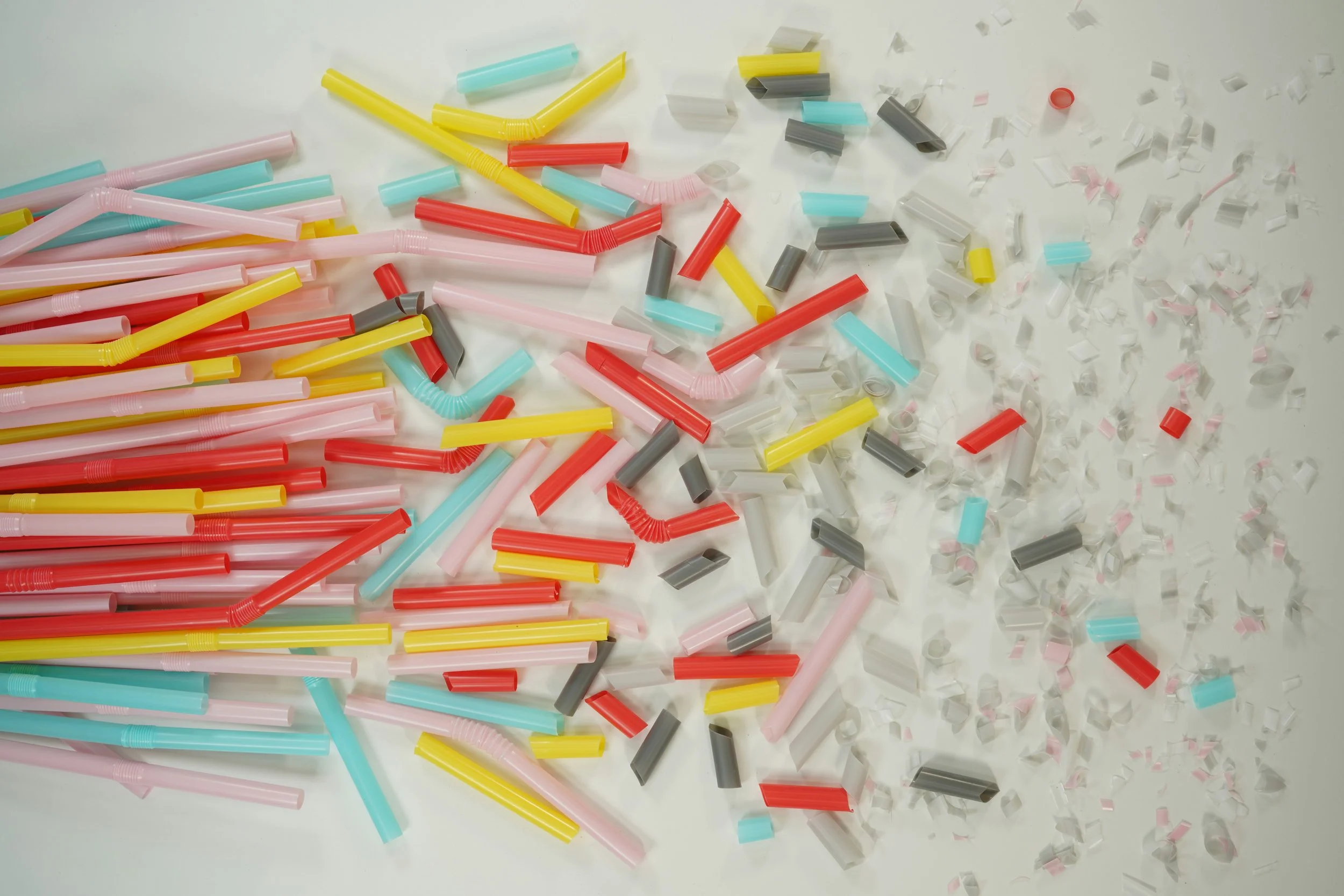 Debunking the Microplastics Panic: What the Research Shows